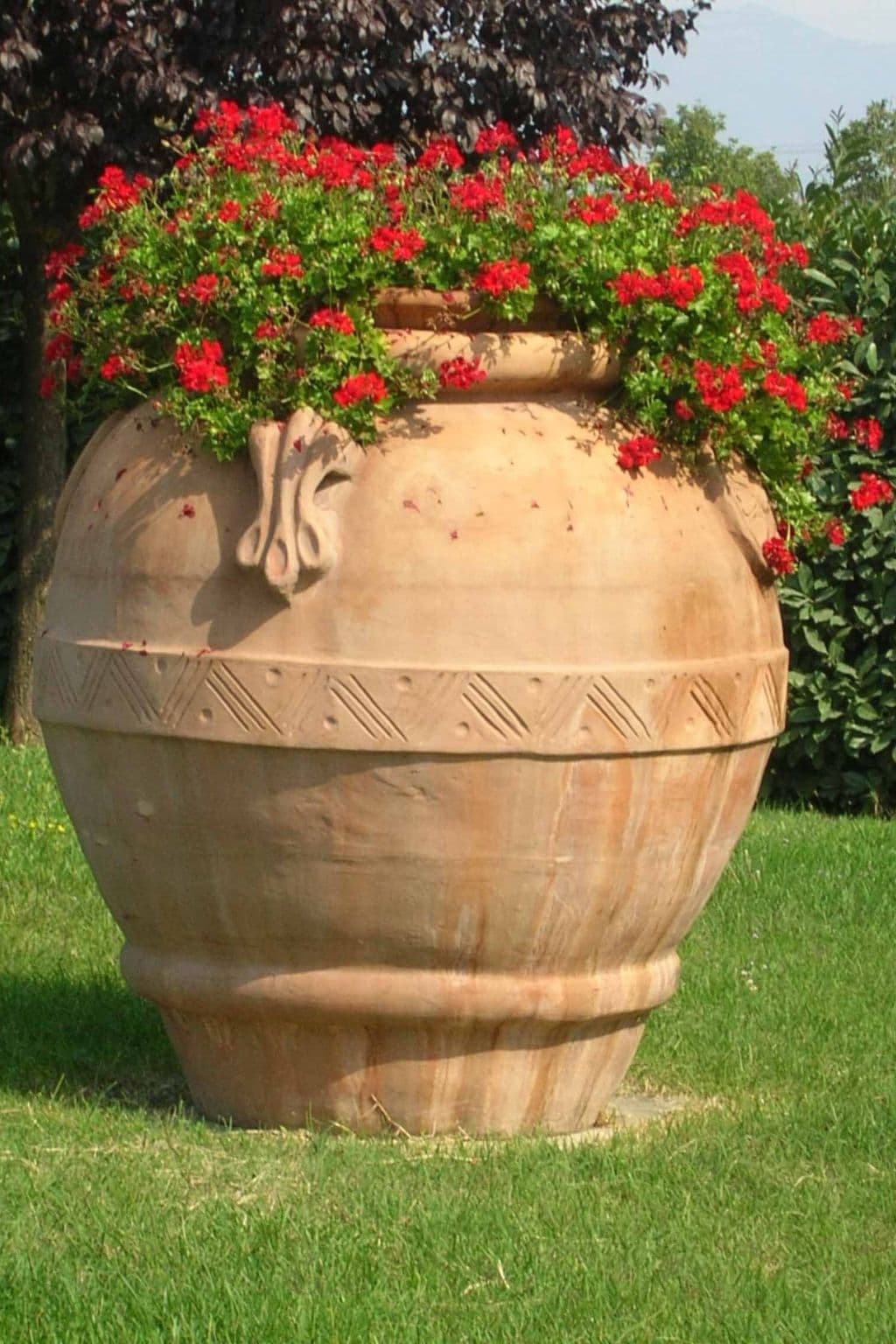 Gallery Image 31