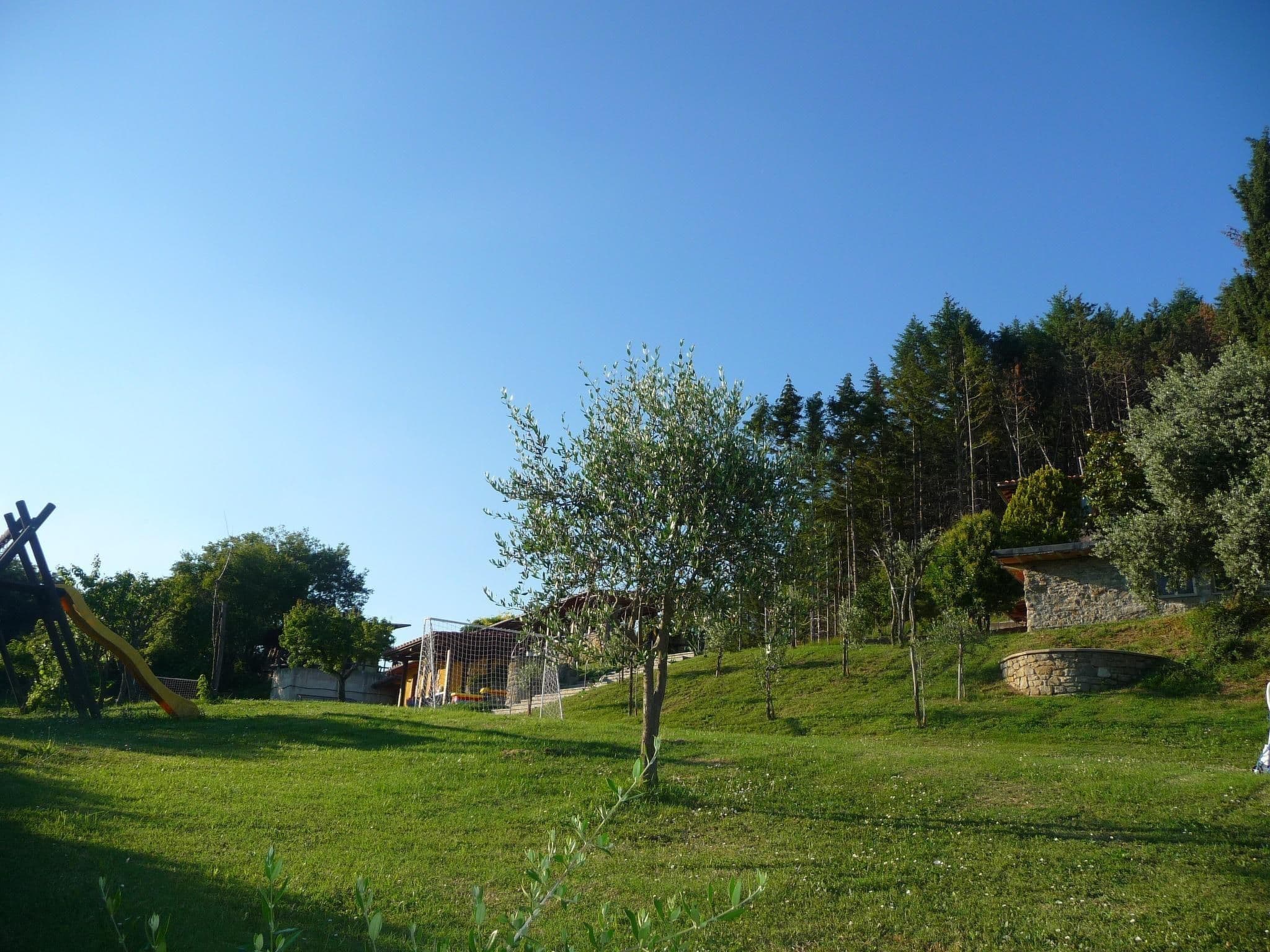 Gallery Image 19