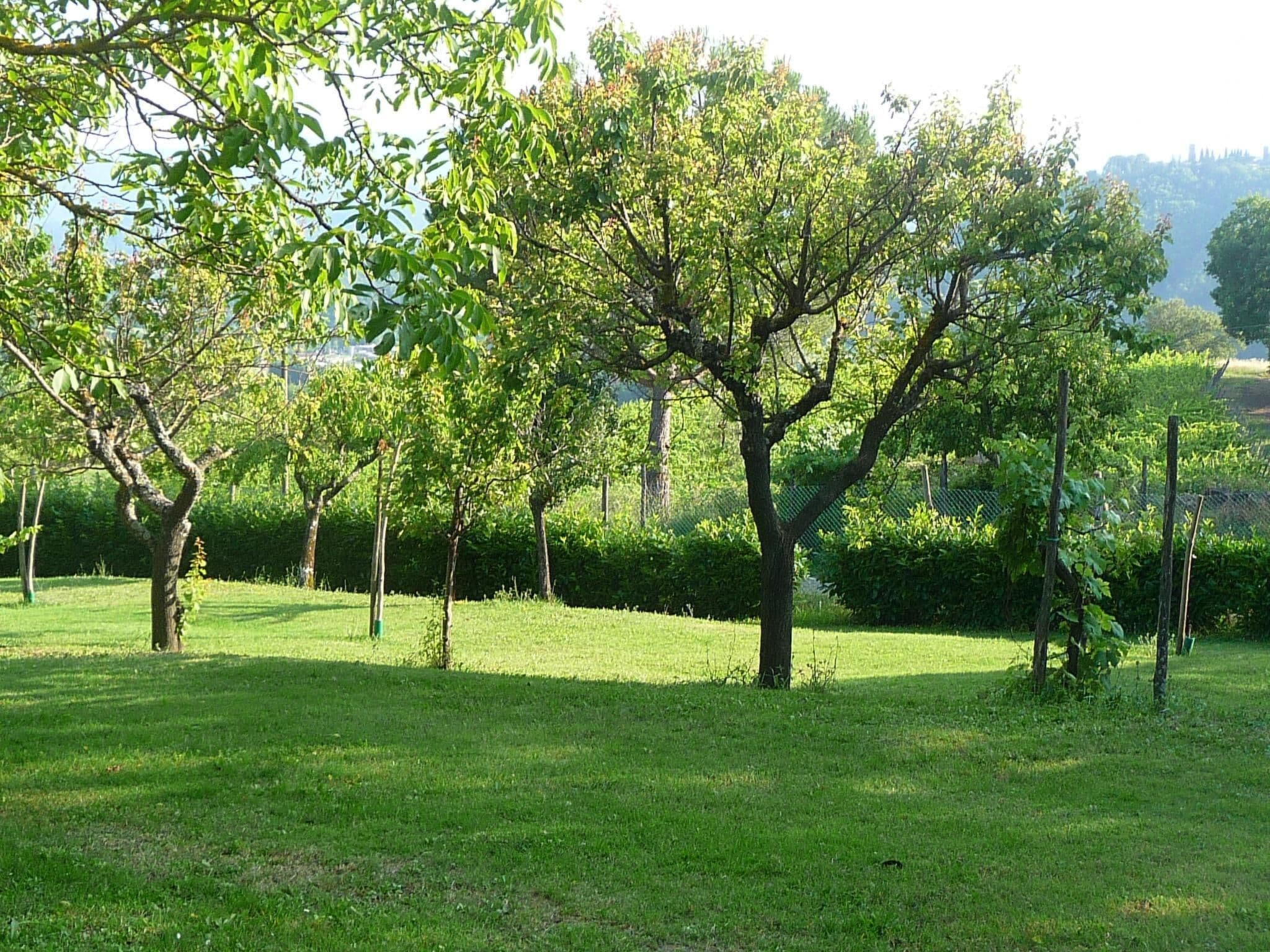 Gallery Image 20
