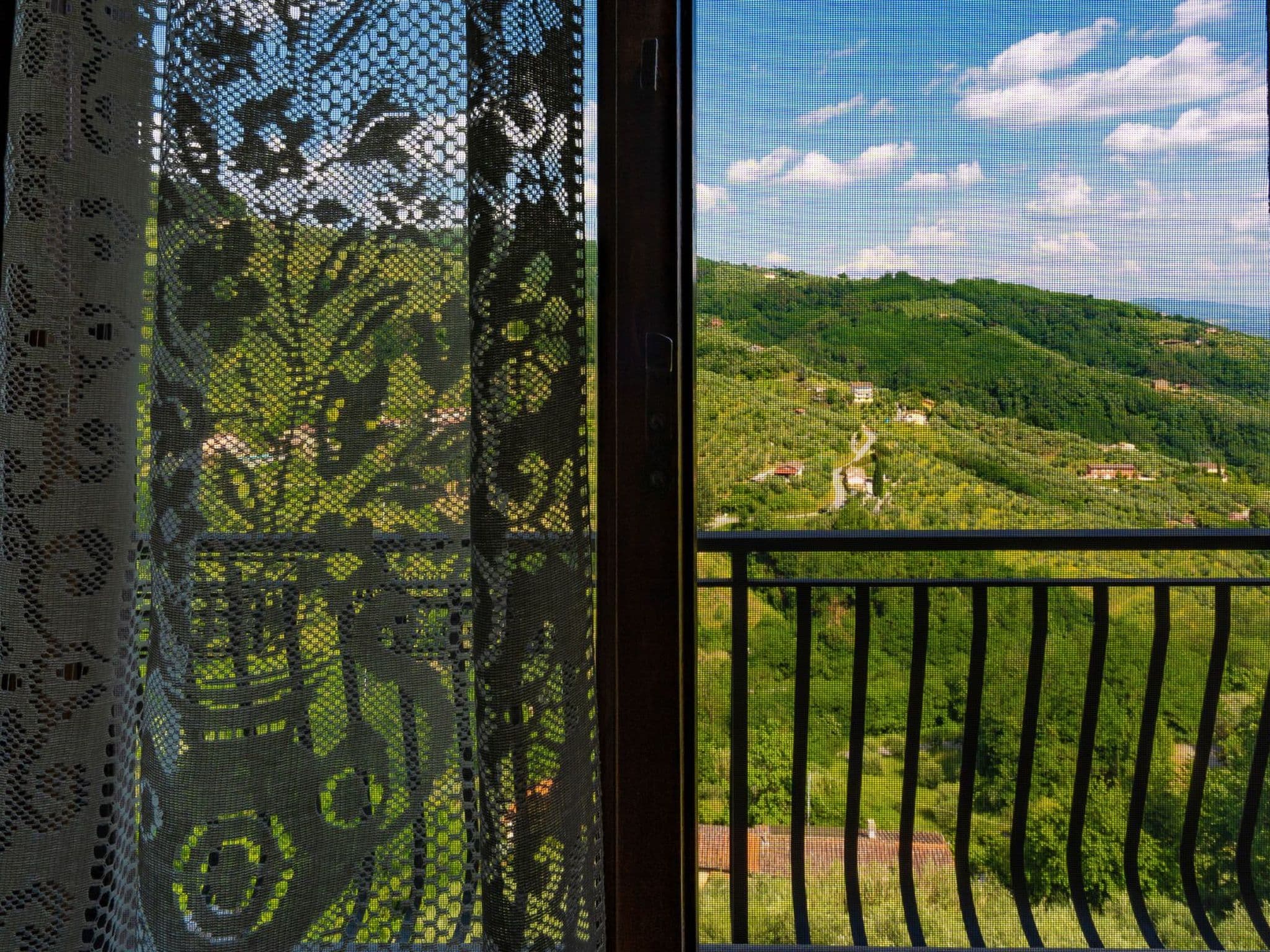 Gallery Image 22