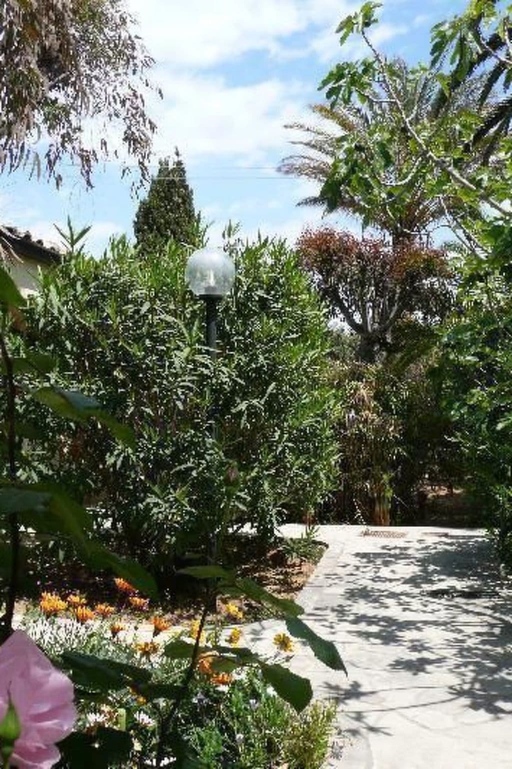 Gallery Image 10