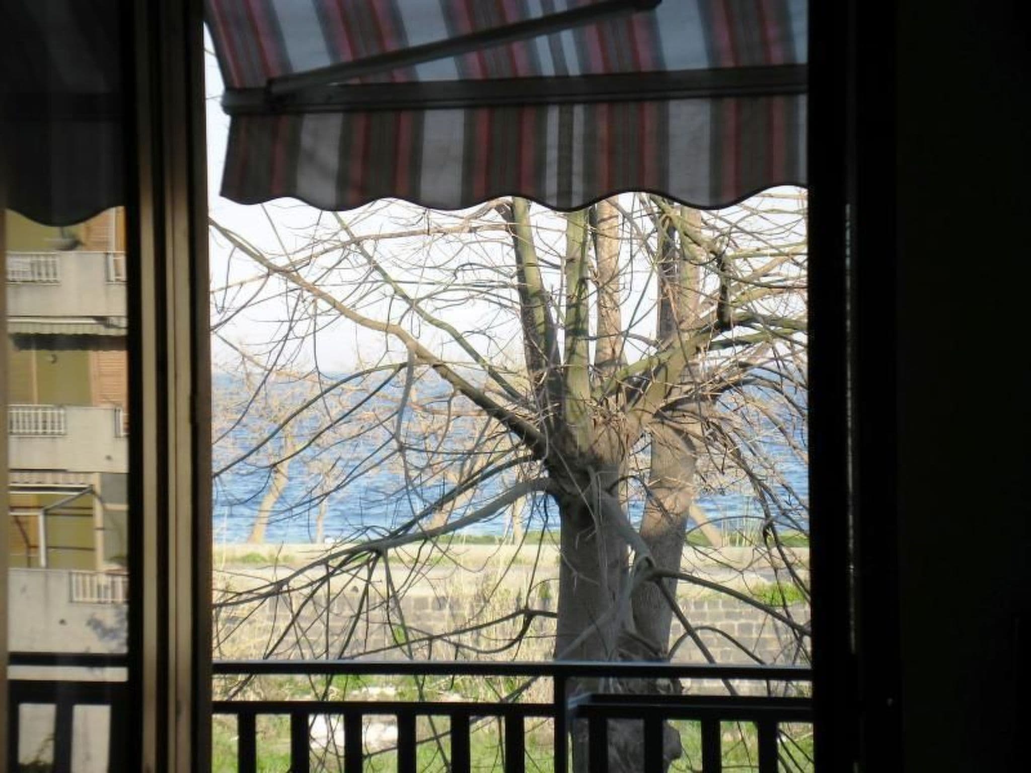 Gallery Image 19