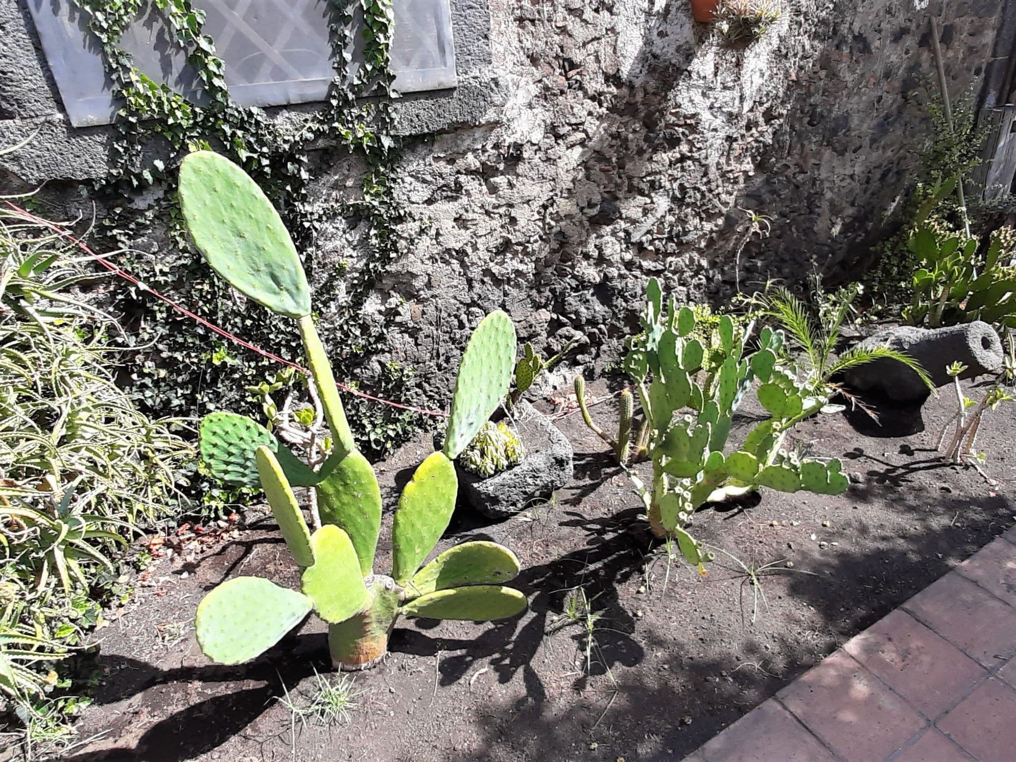 Gallery Image 15
