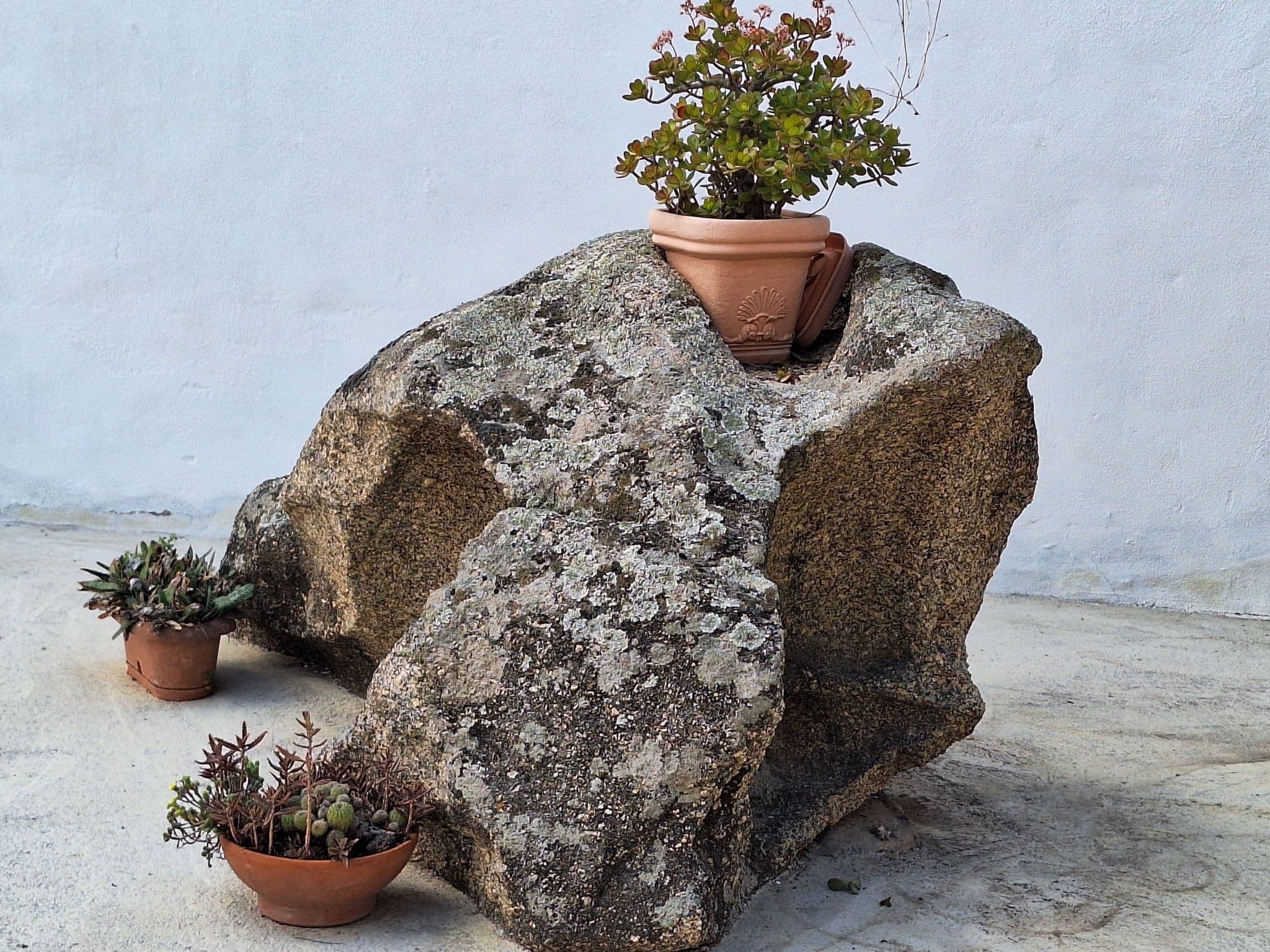 Gallery Image 19