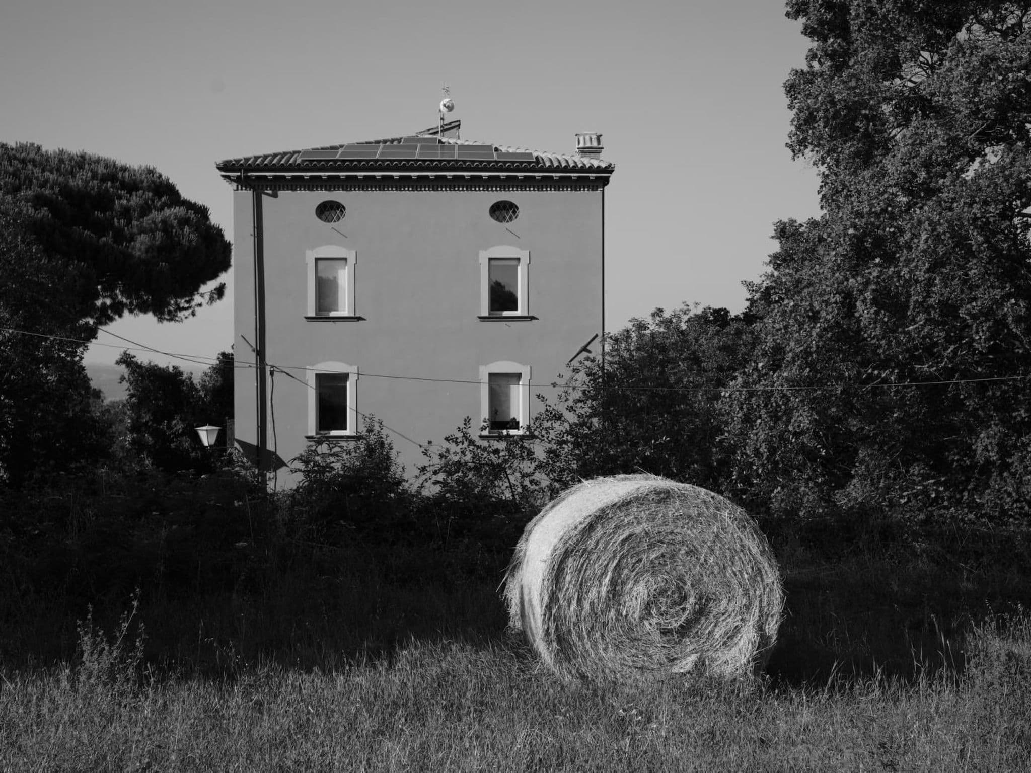 Gallery Image 22