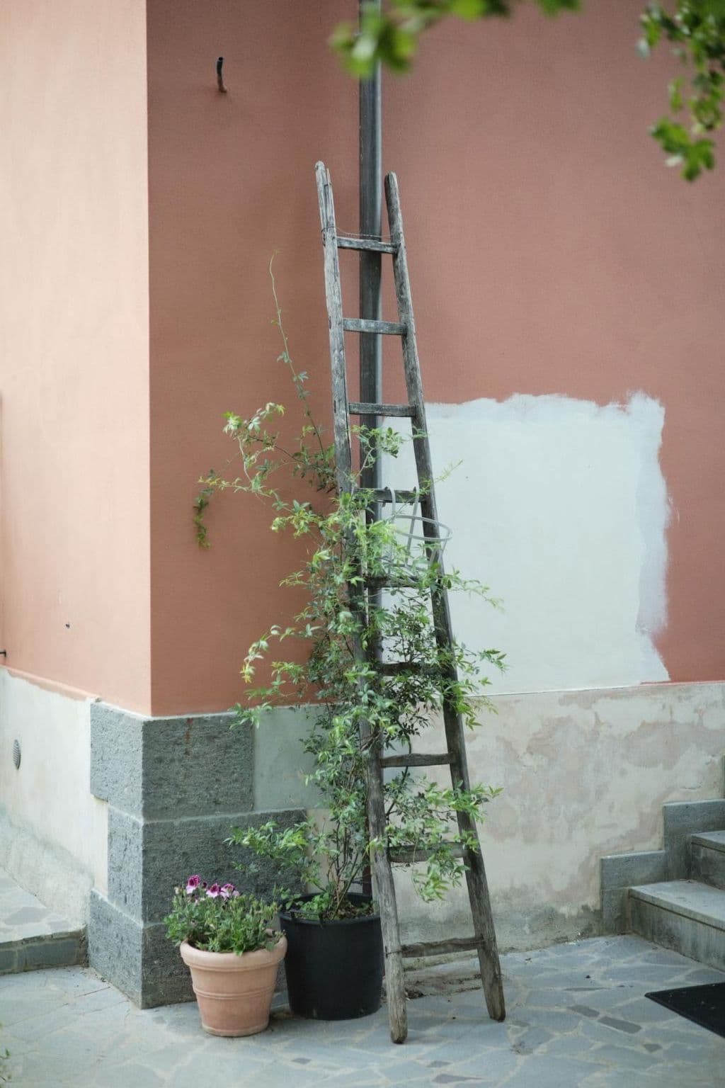 Gallery Image 20
