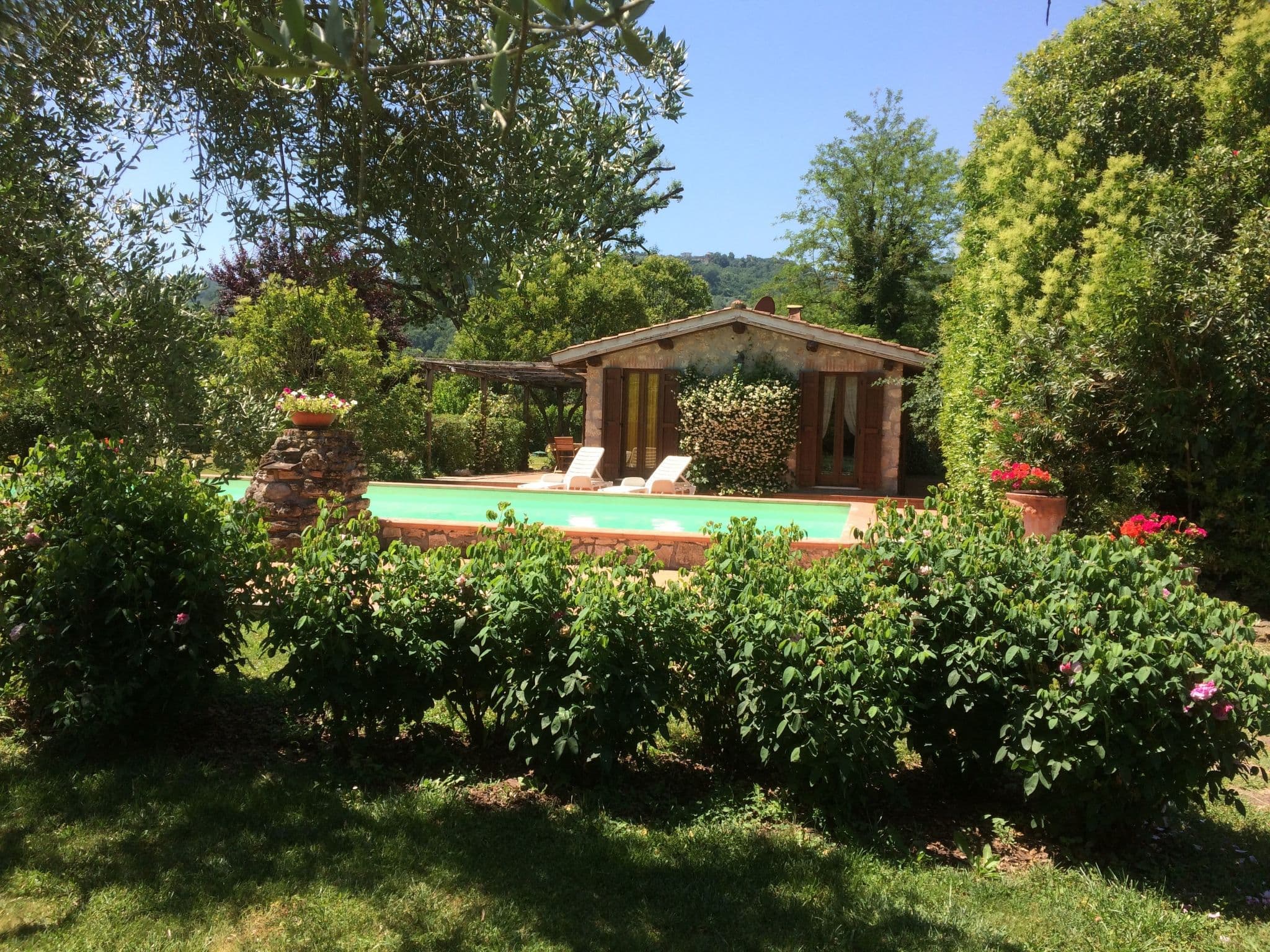 Pool Outdoor