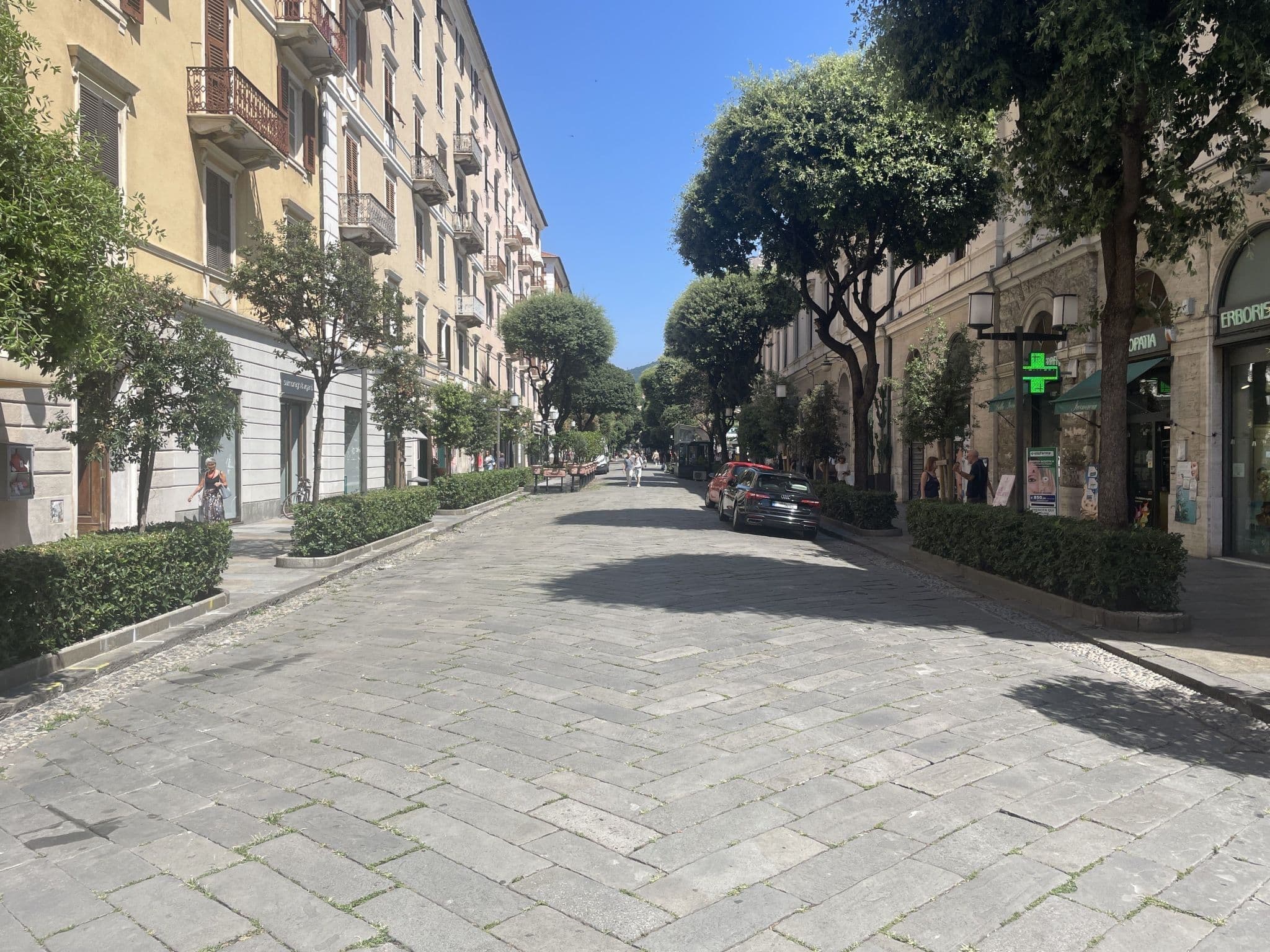 Gallery Image 14