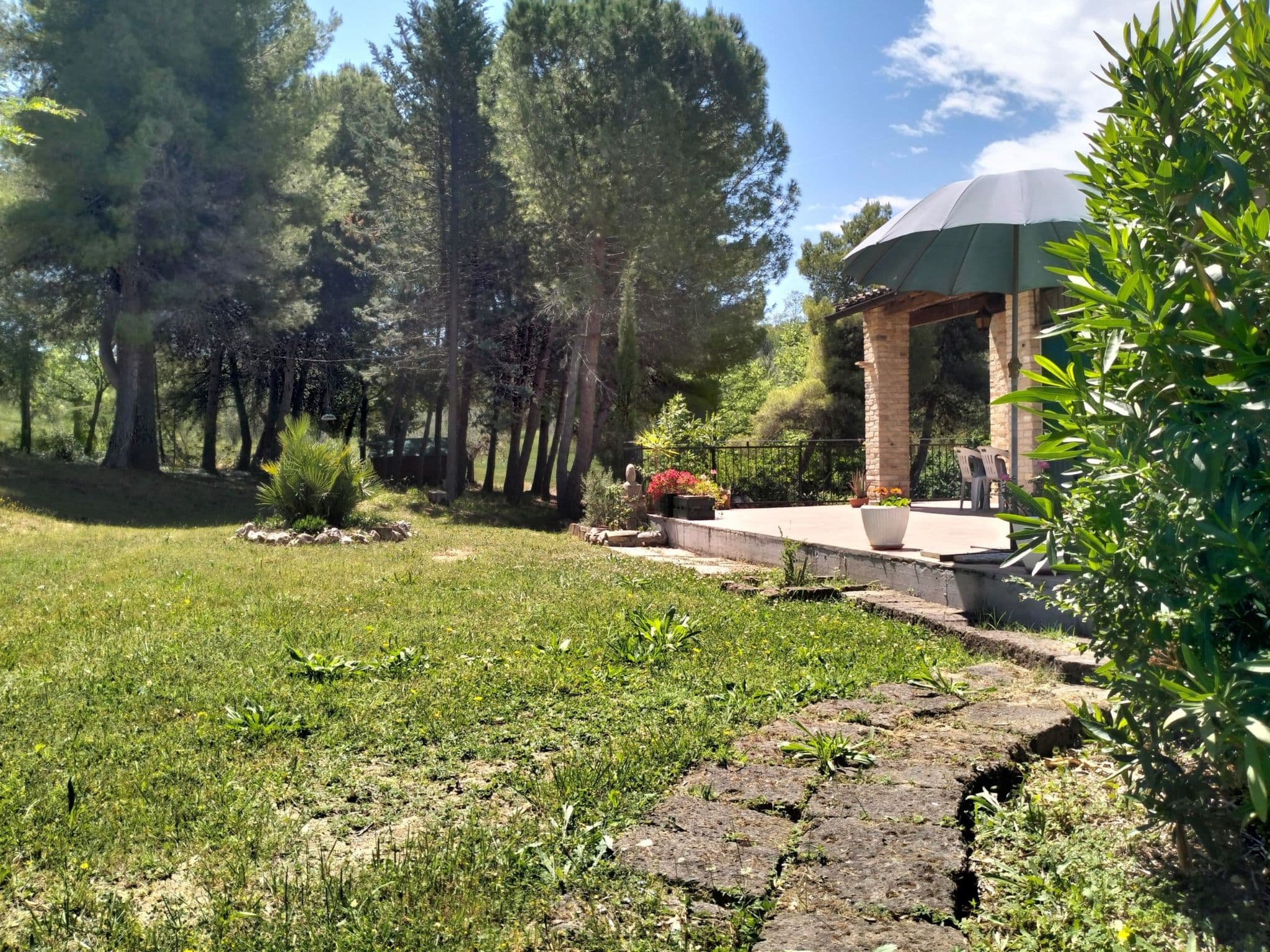 Gallery Image 14