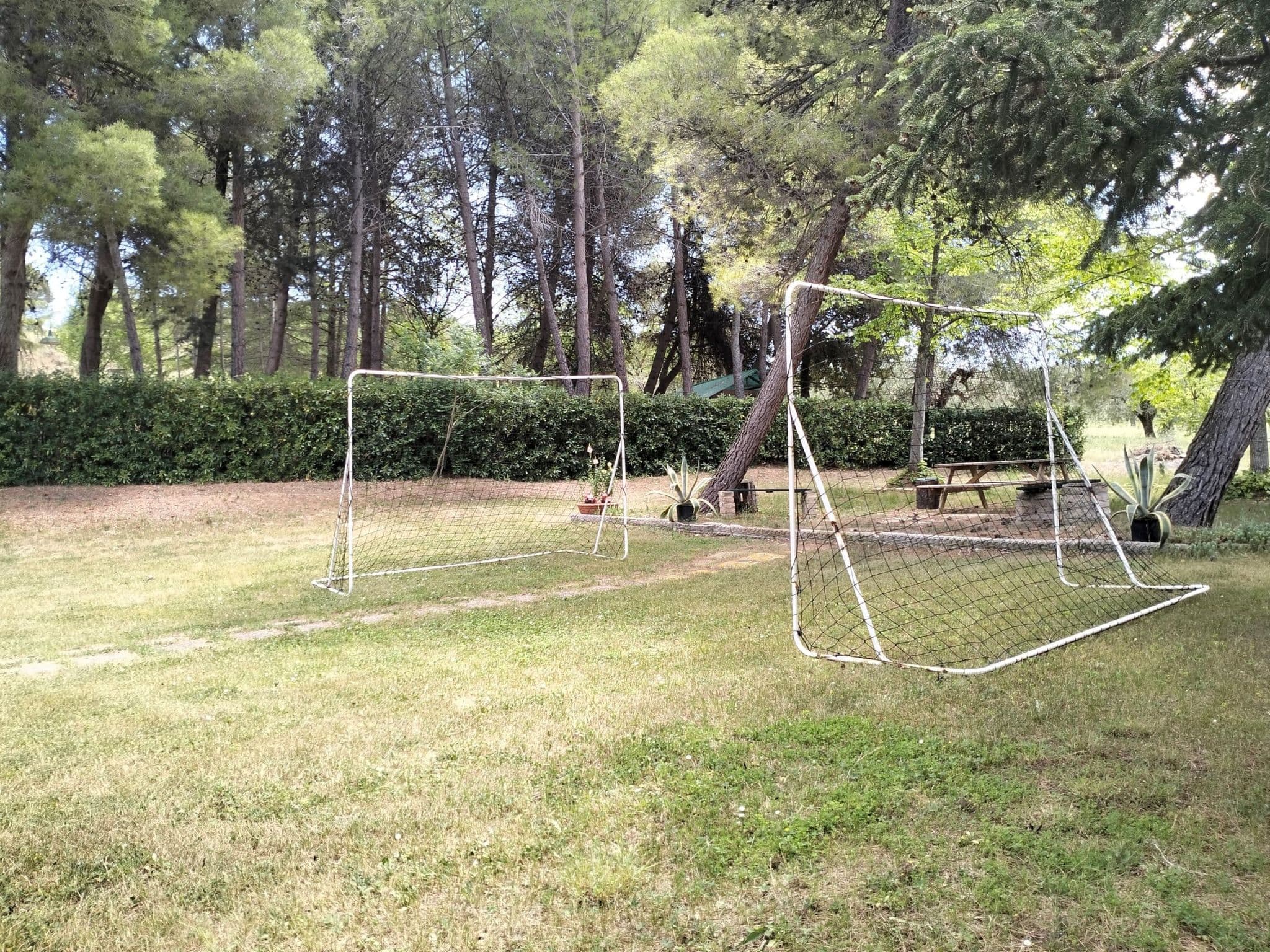 Gallery Image 62