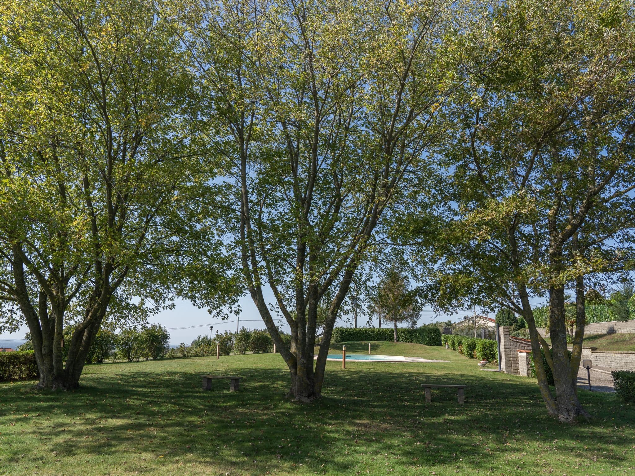 Gallery Image 14