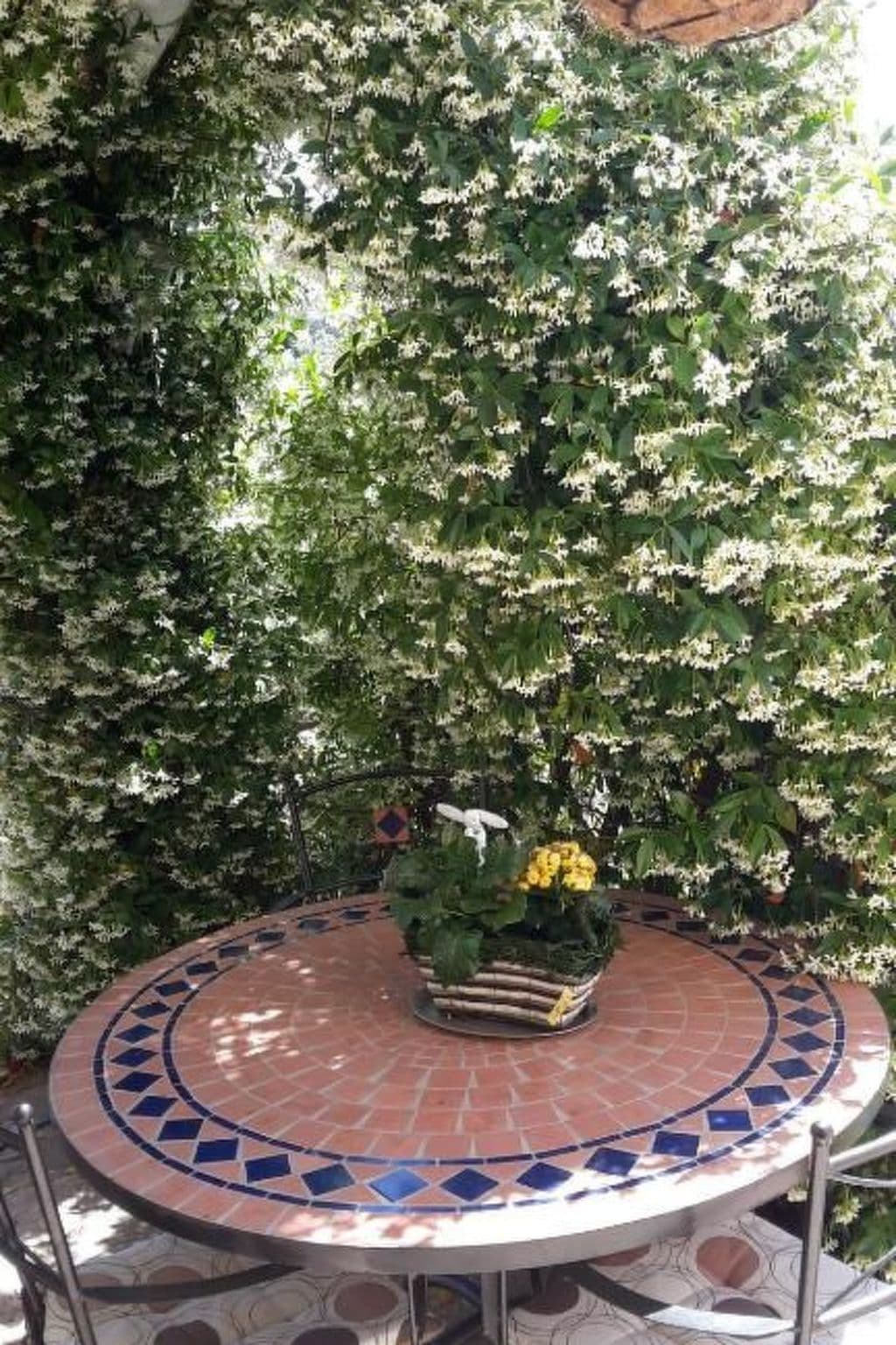 Gallery Image 29