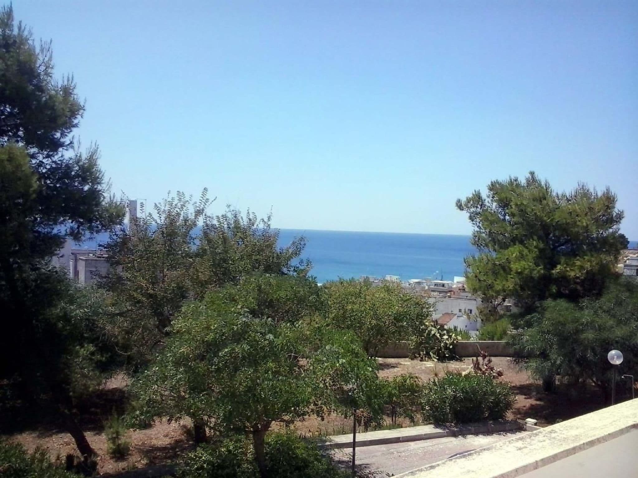 Gallery Image 25