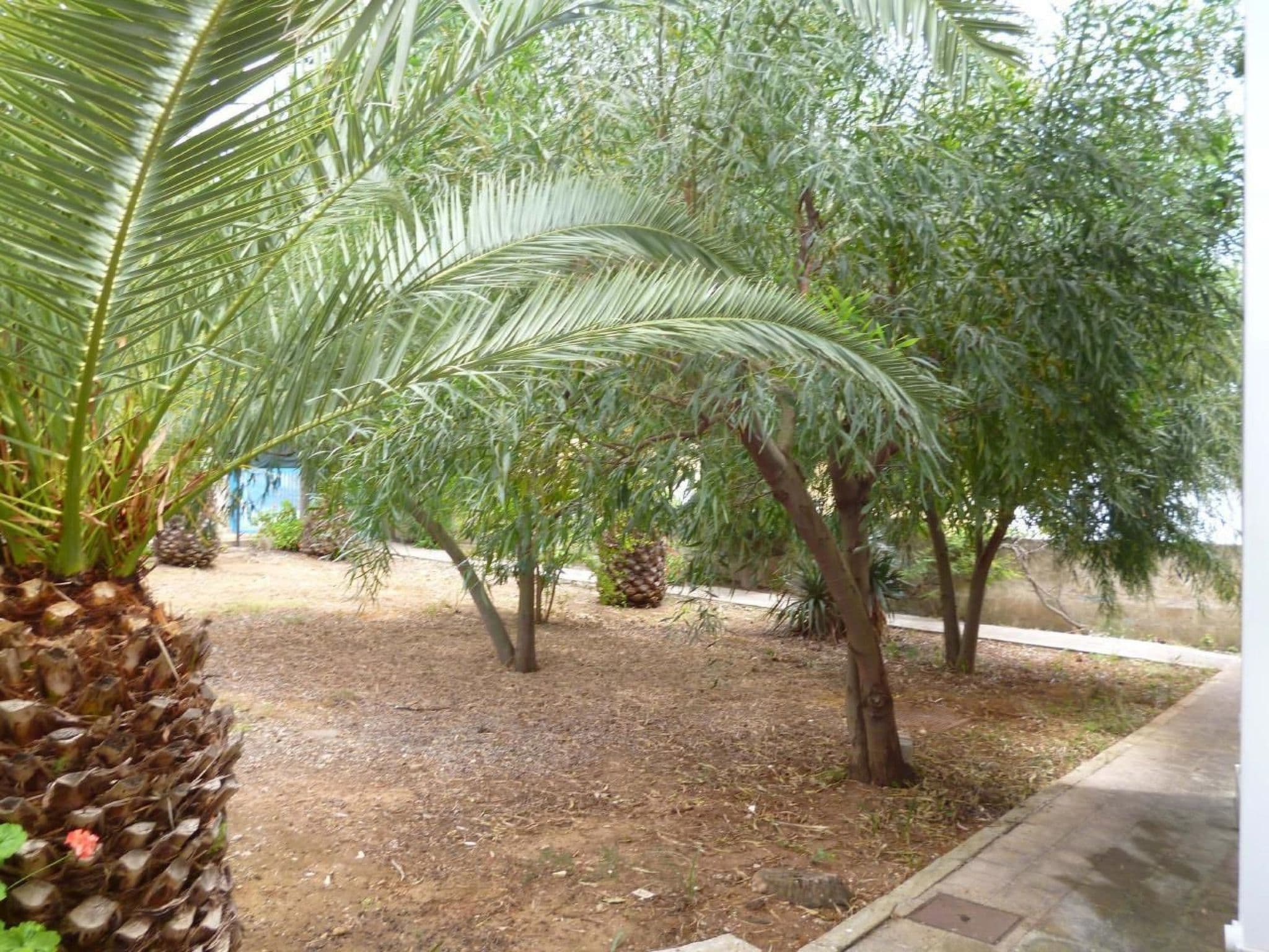 Gallery Image 16
