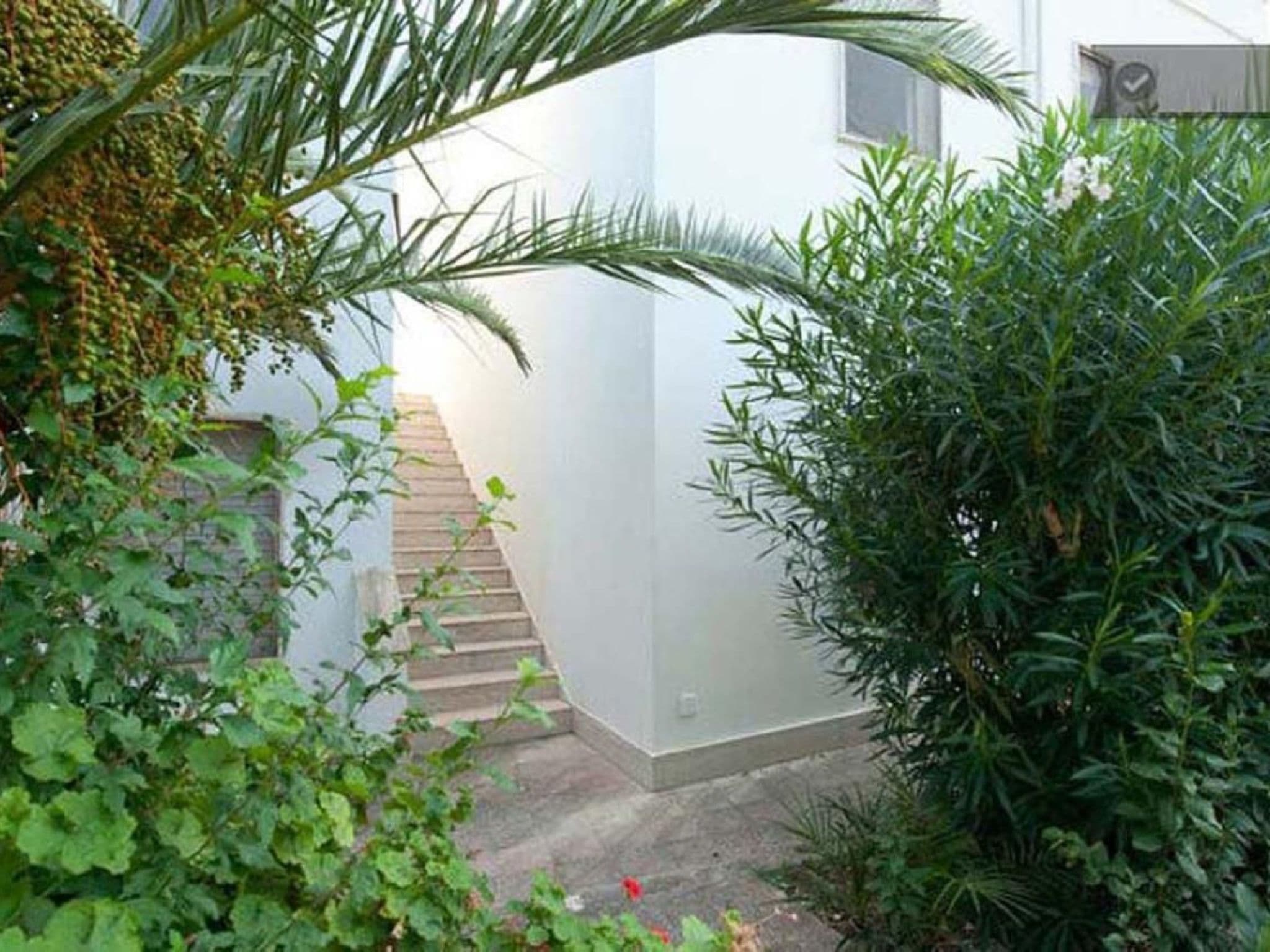 Gallery Image 15