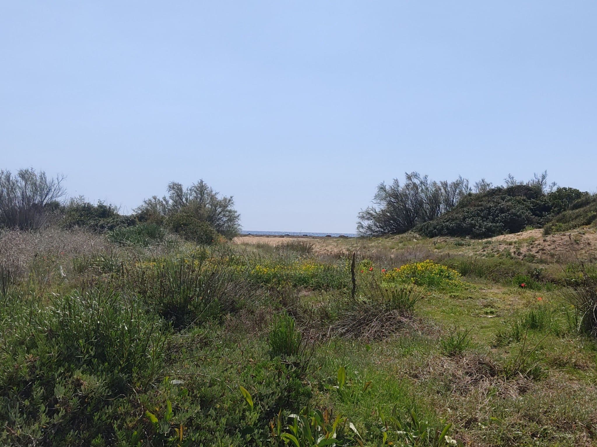 Gallery Image 17