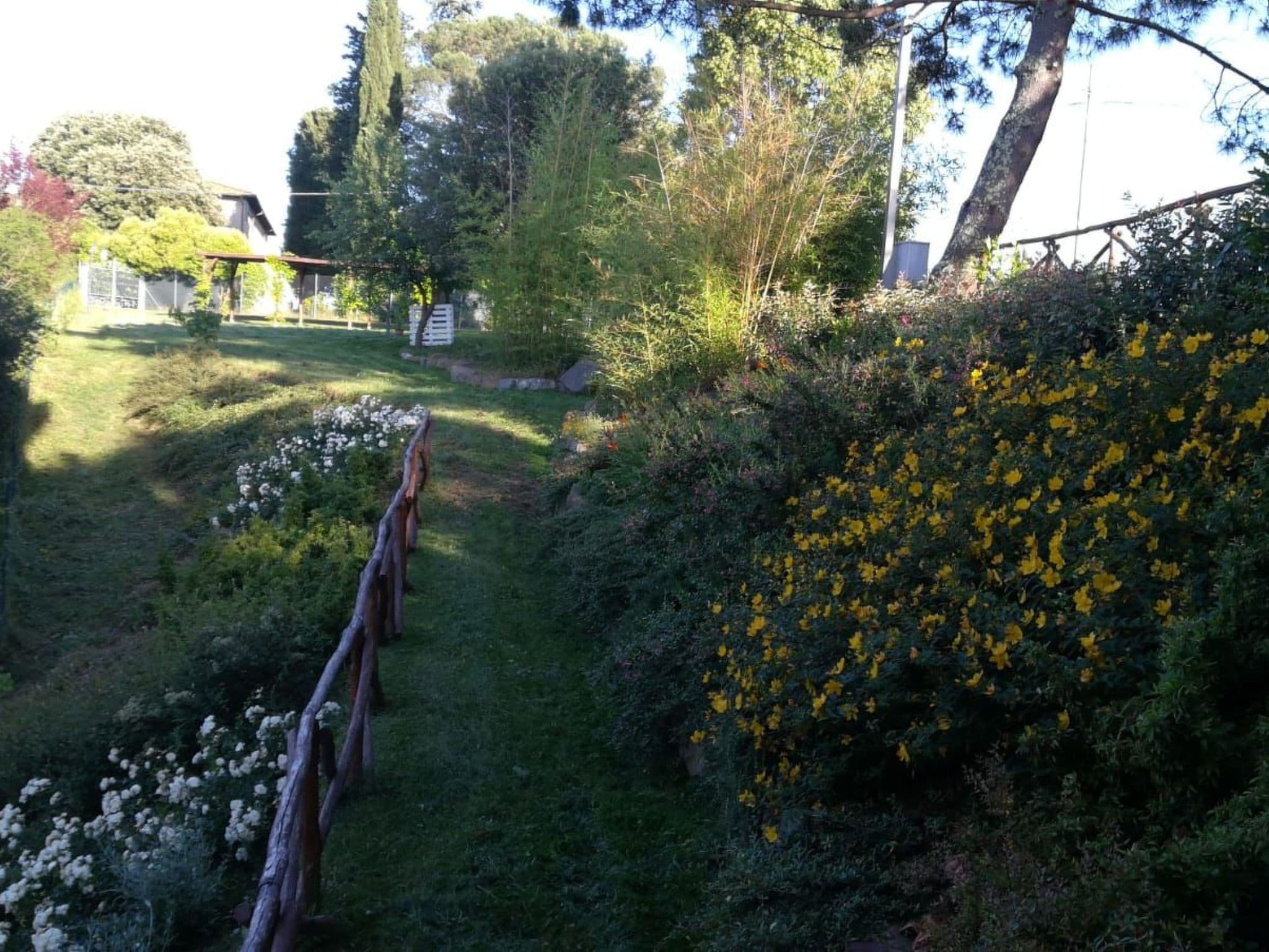 Gallery Image 26