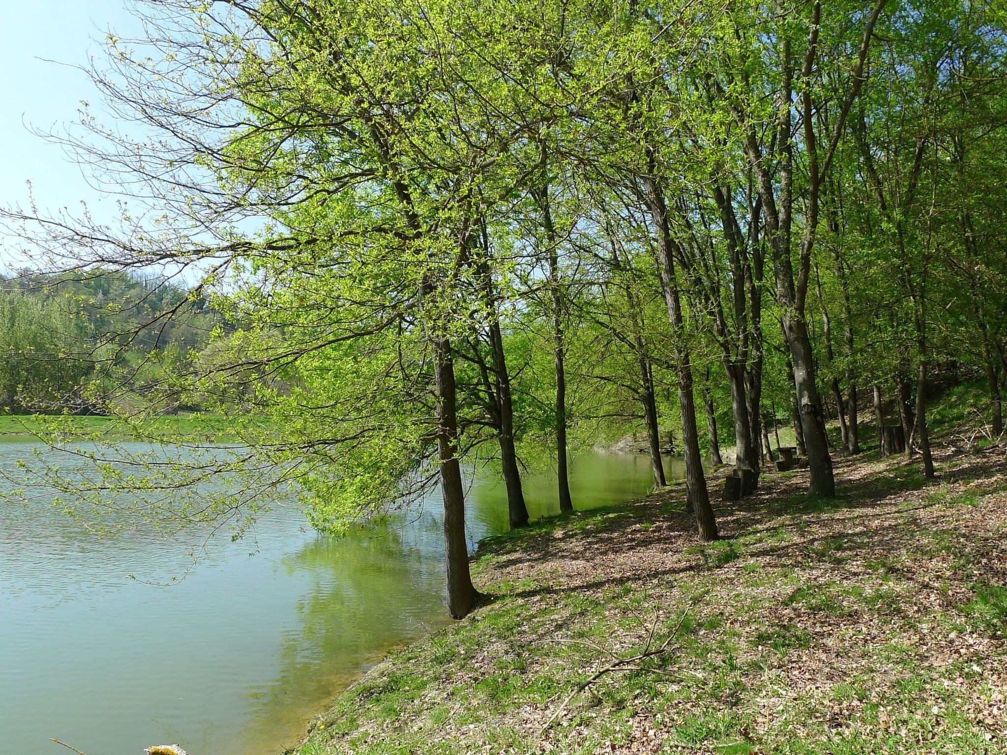 Gallery Image 35