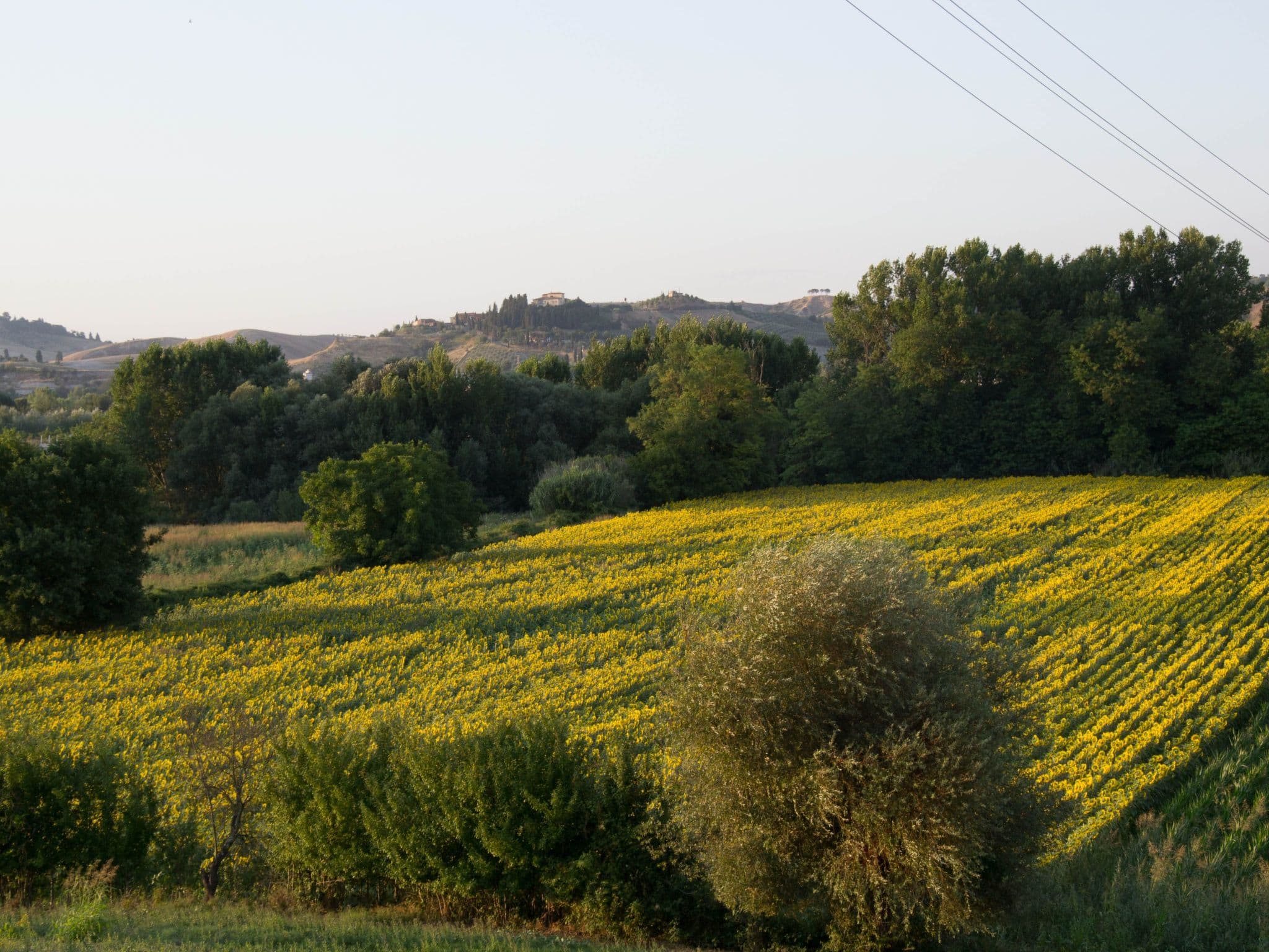 View
