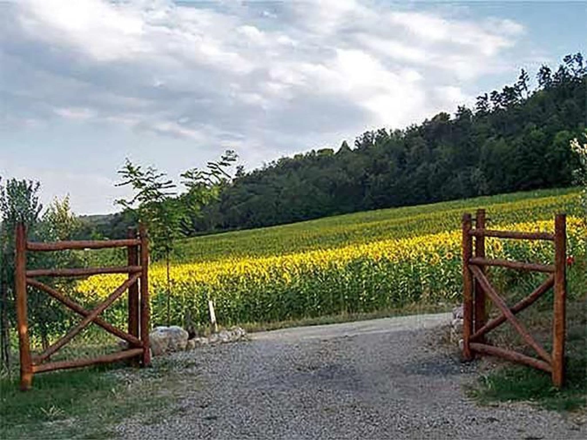 Gallery Image 19
