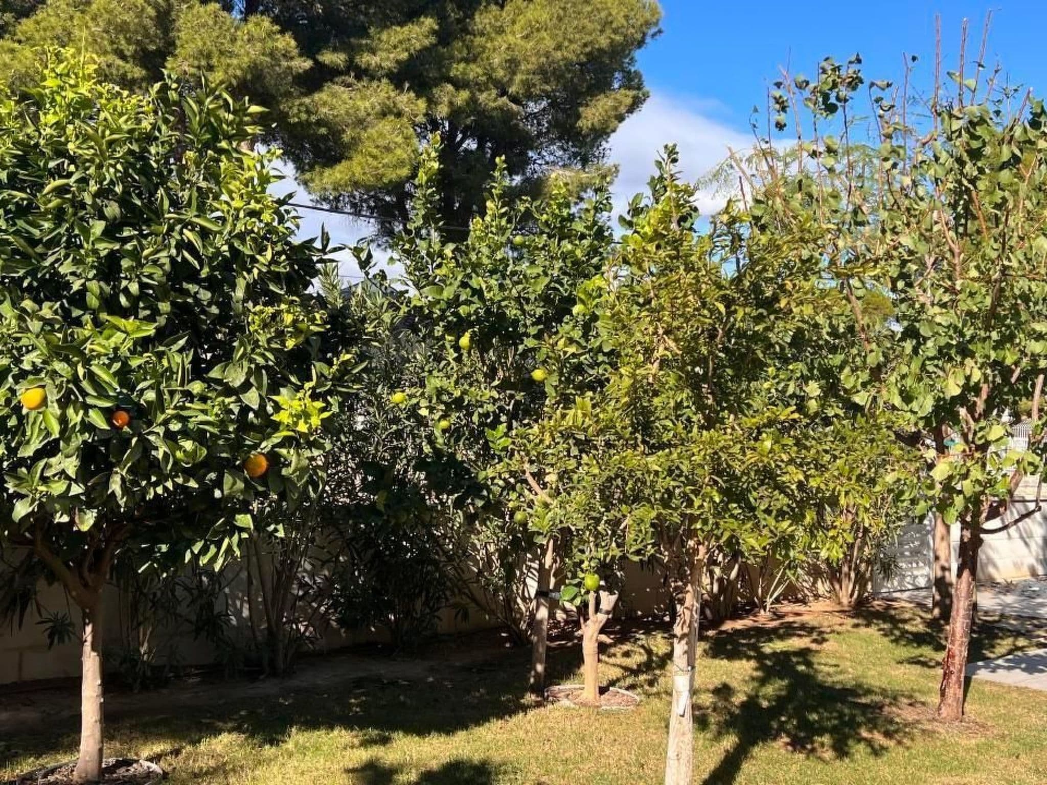 Gallery Image 9