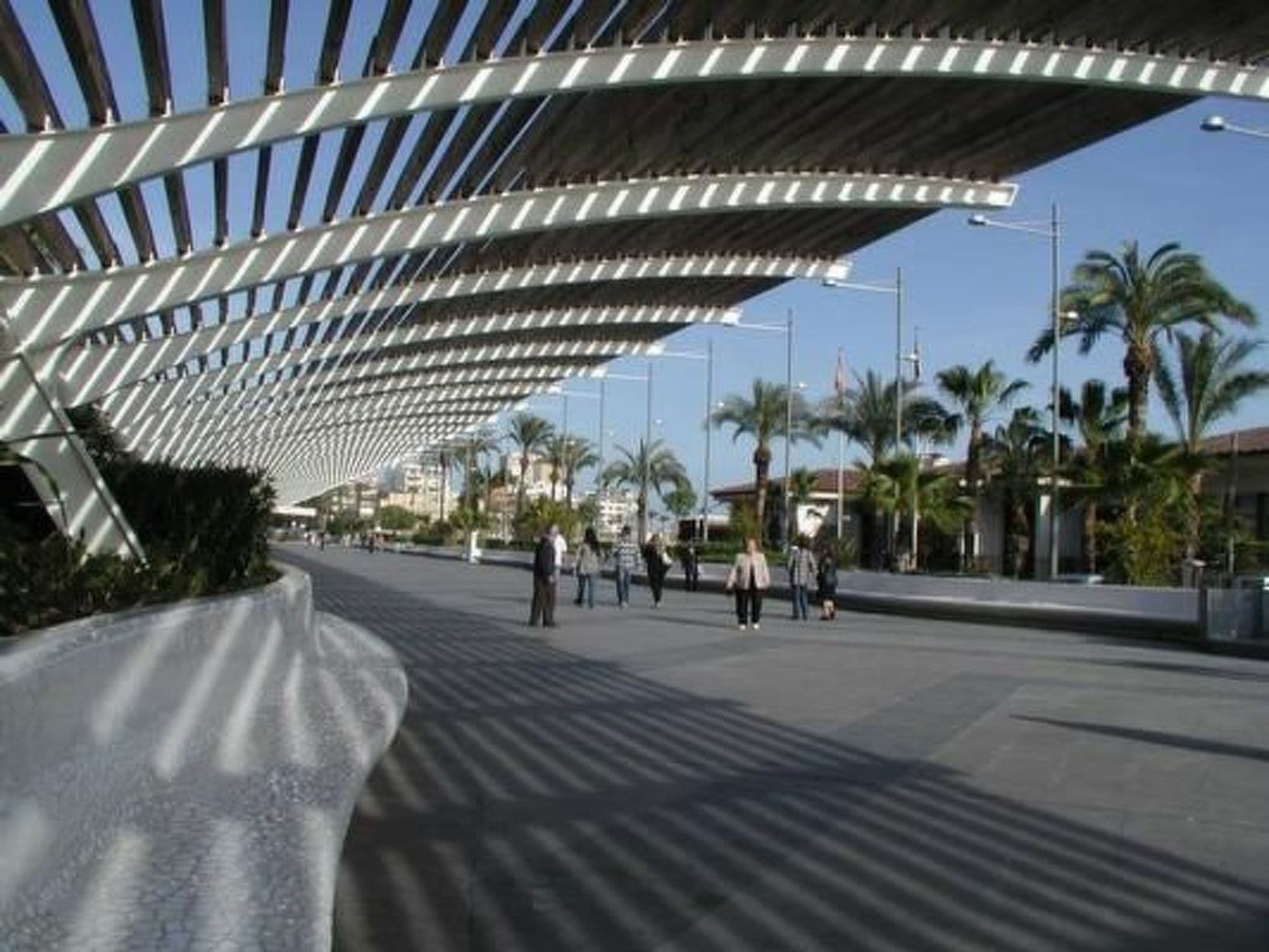 Gallery Image 11