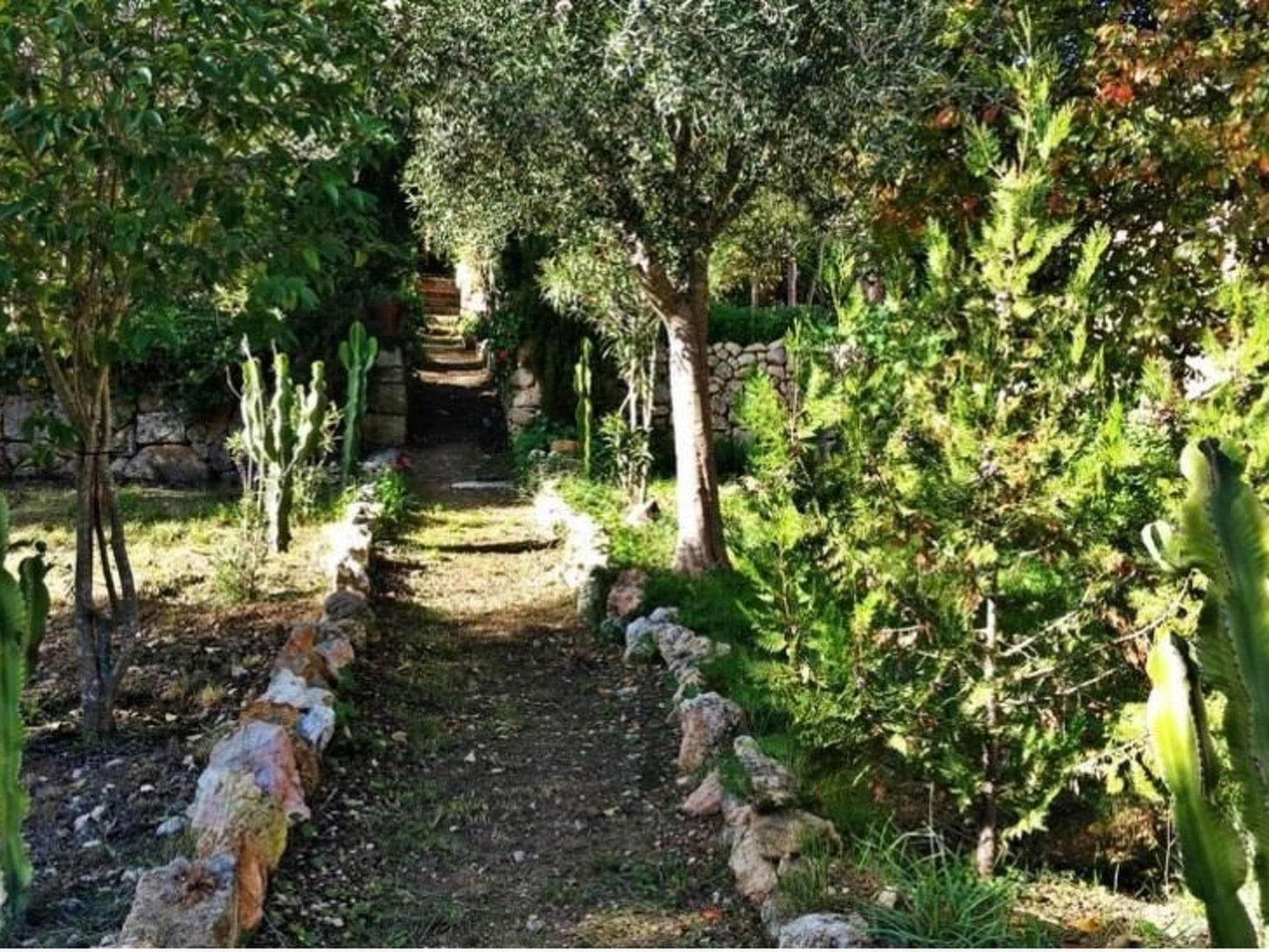 Gallery Image 34