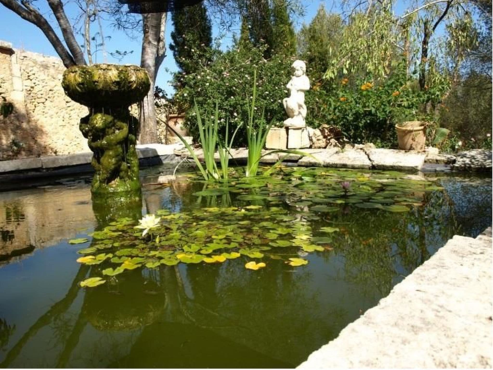 Gallery Image 26