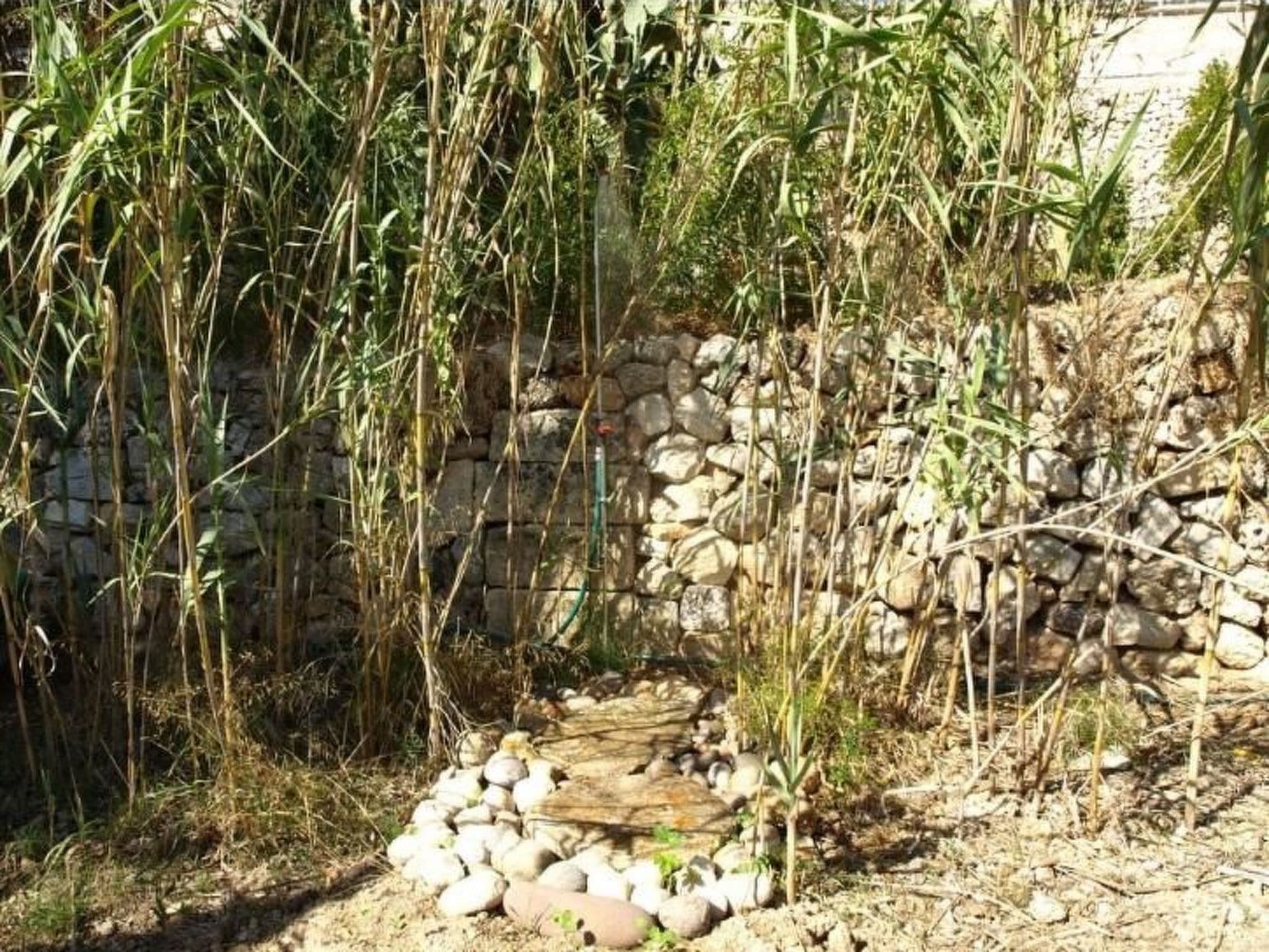 Gallery Image 25