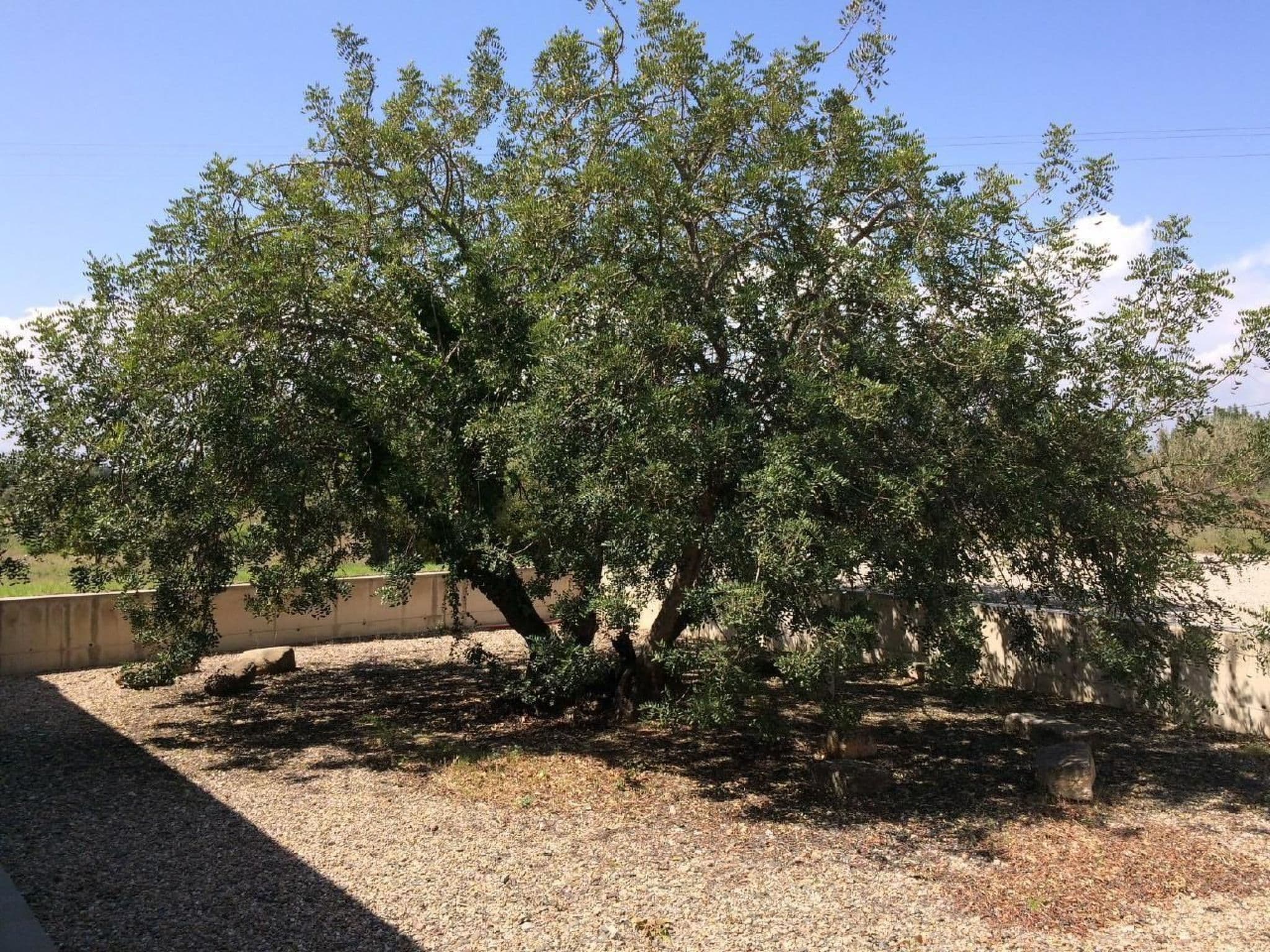 Gallery Image 38