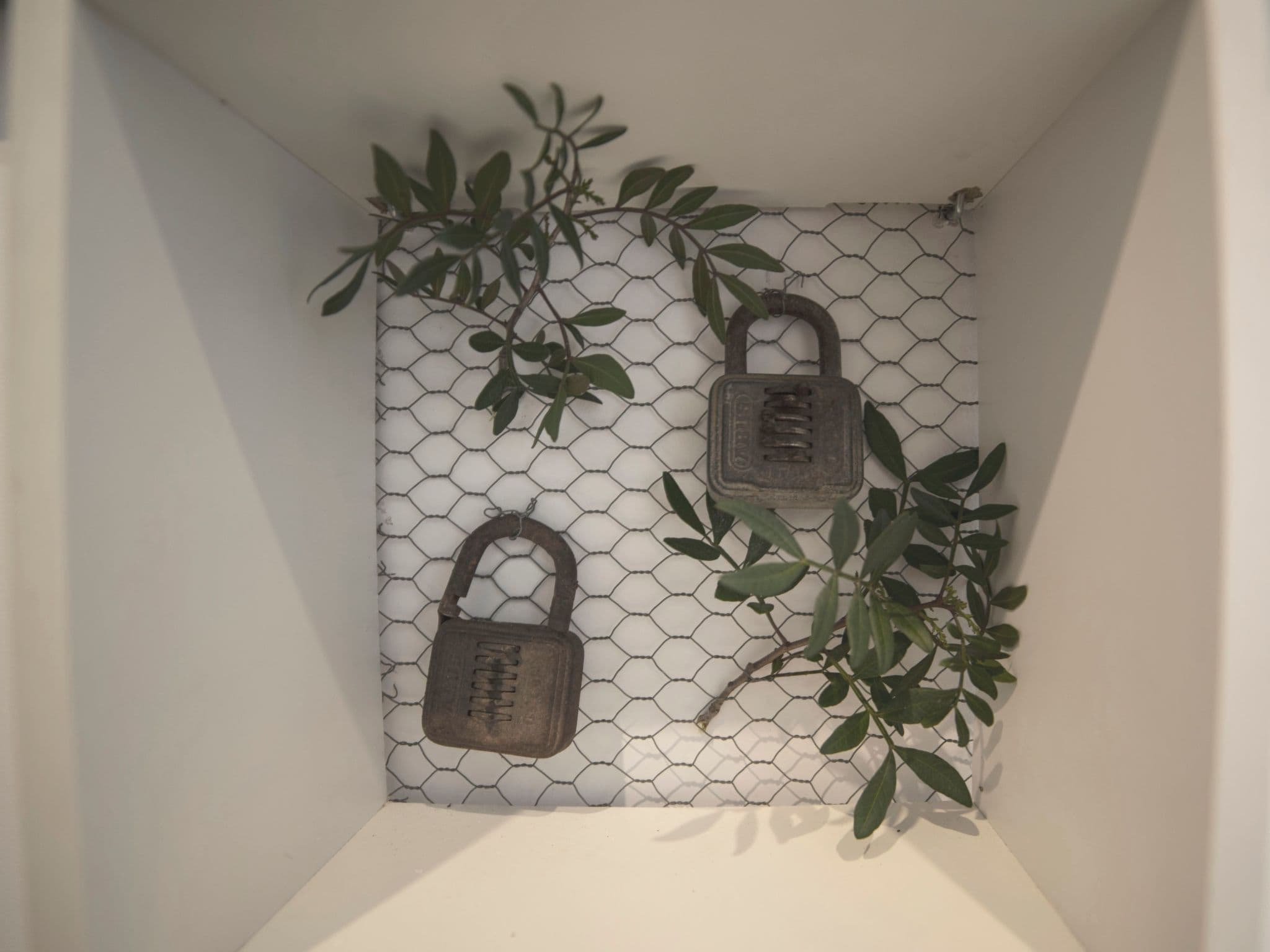 Gallery Image 9