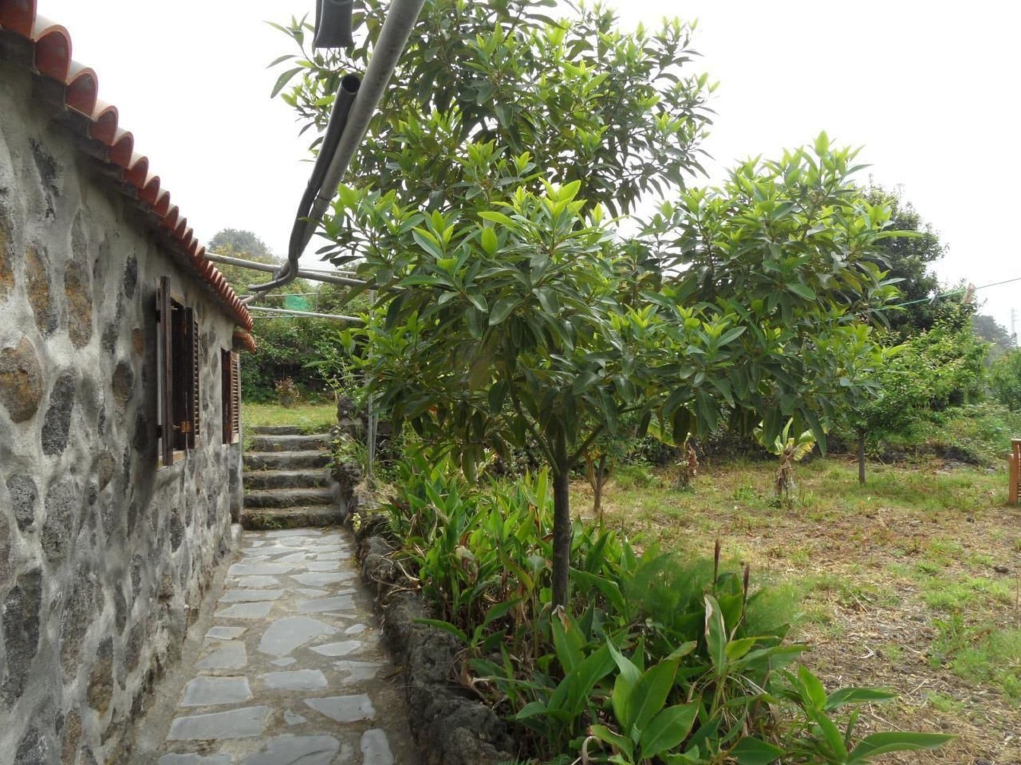 Gallery Image 15