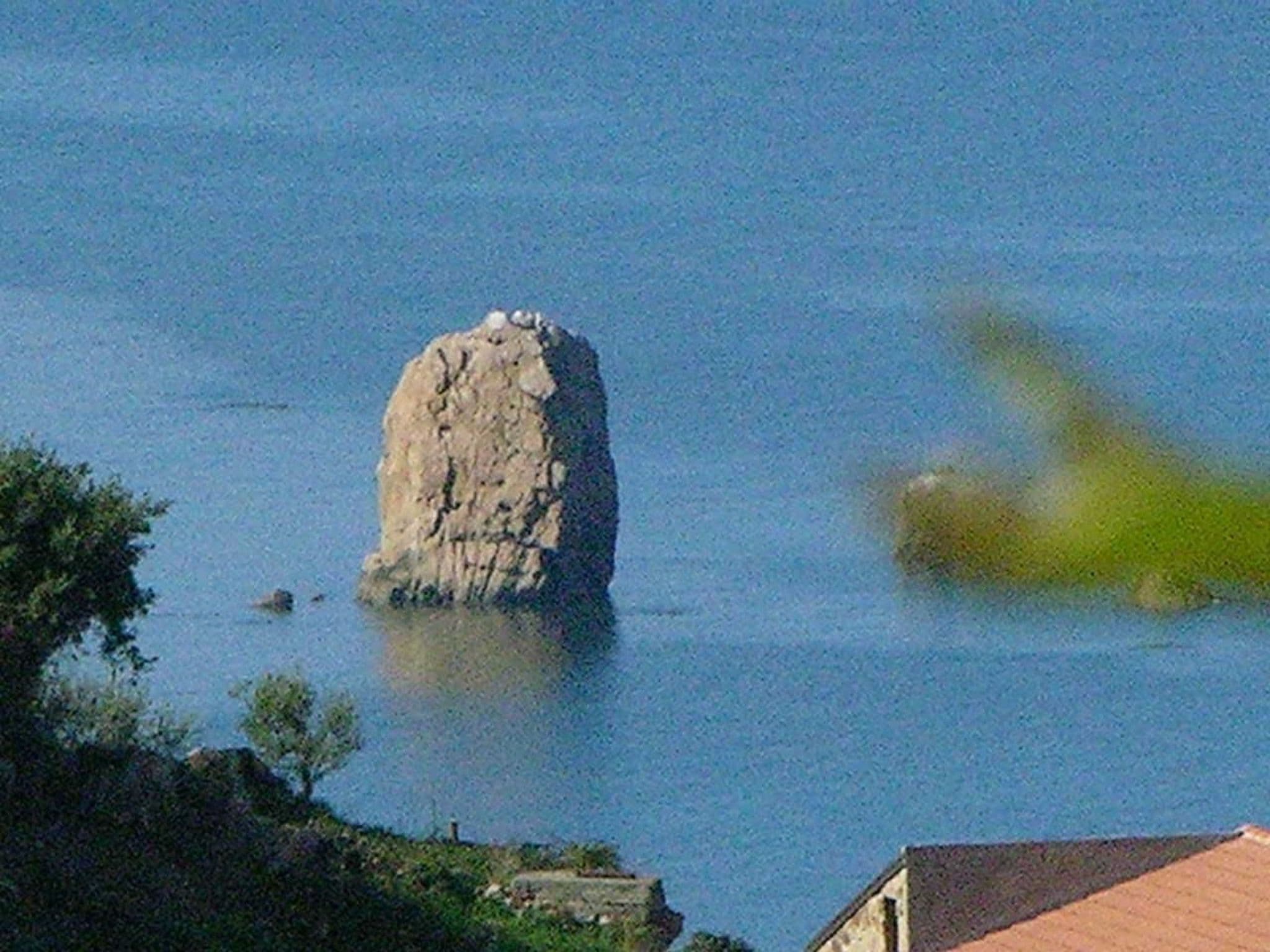 Gallery Image 15
