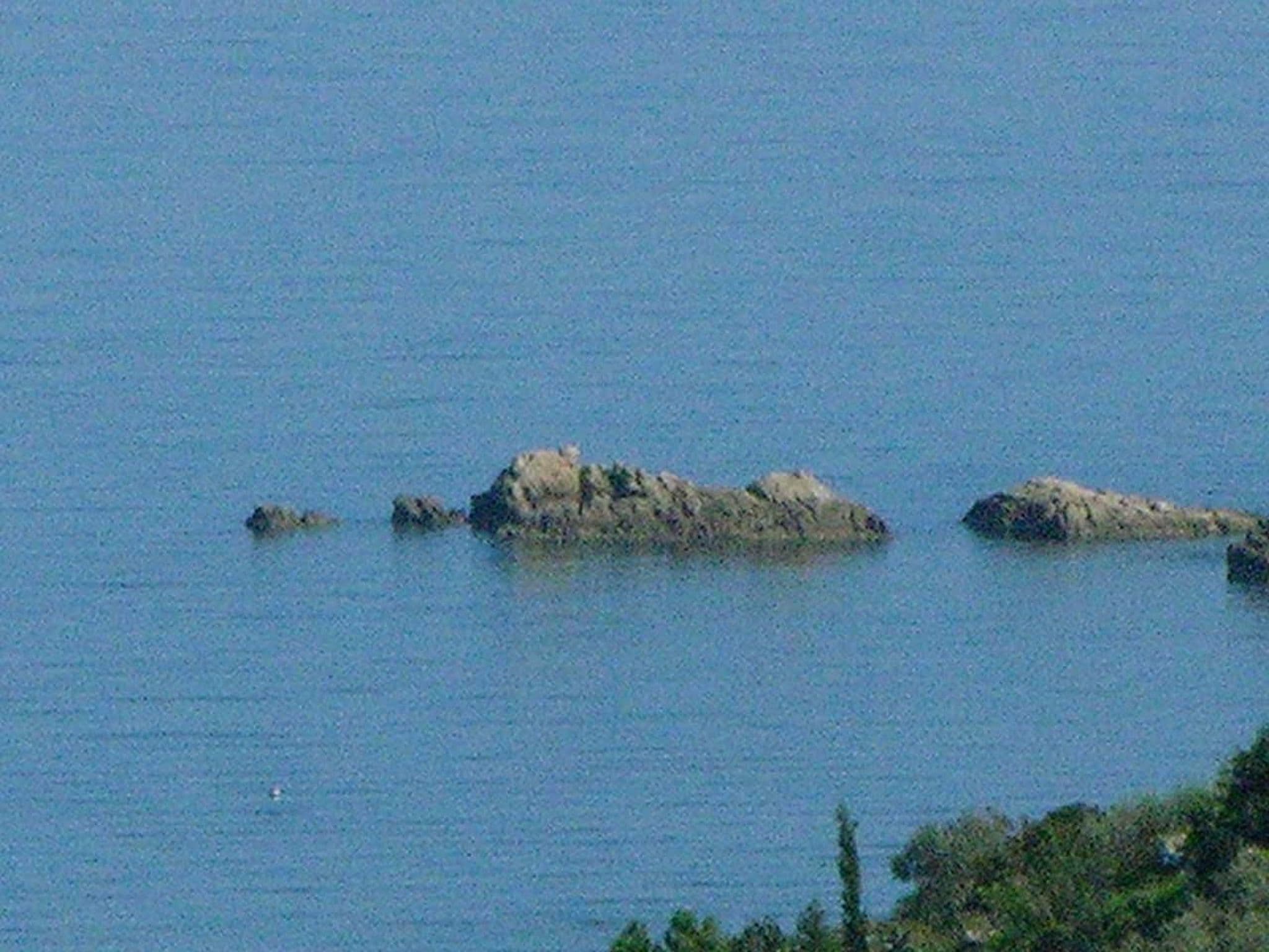 Gallery Image 14