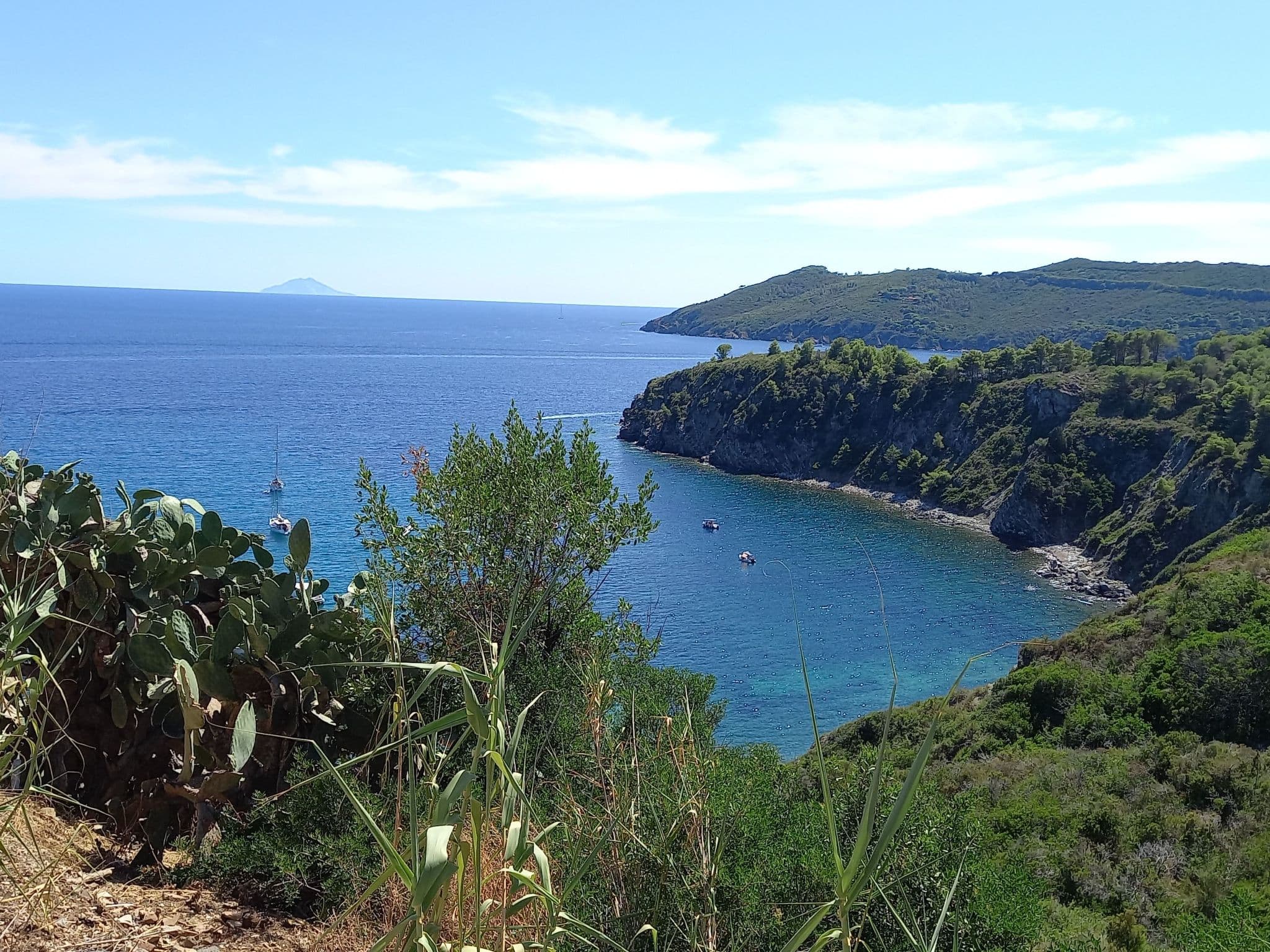 View