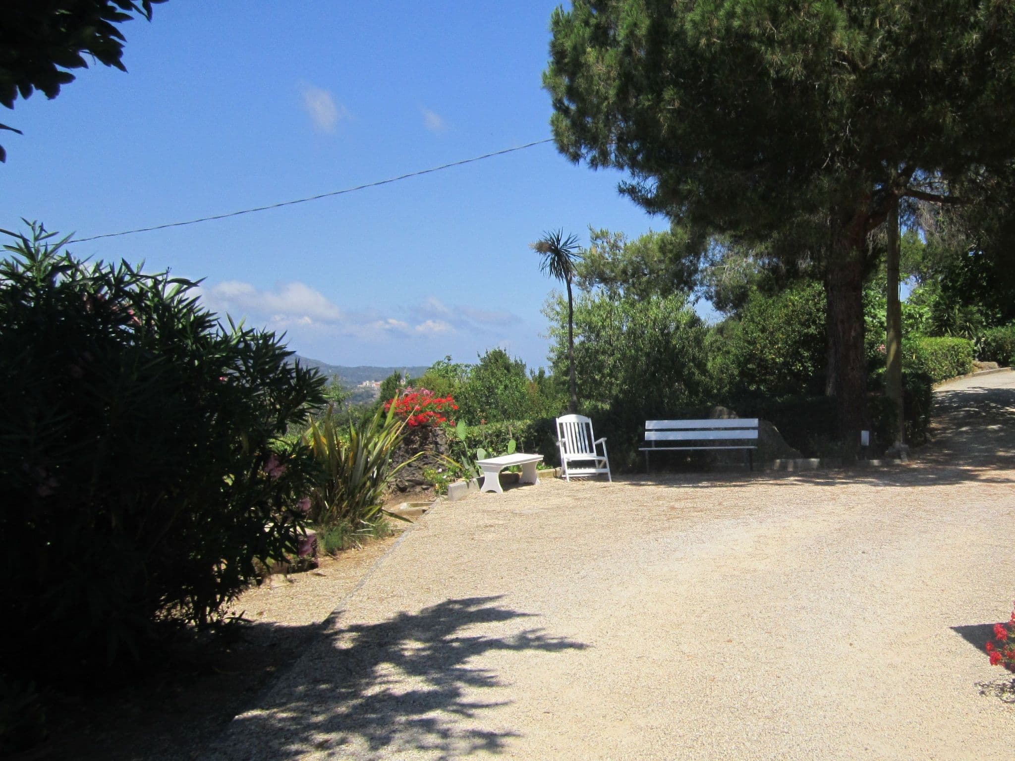 Gallery Image 8