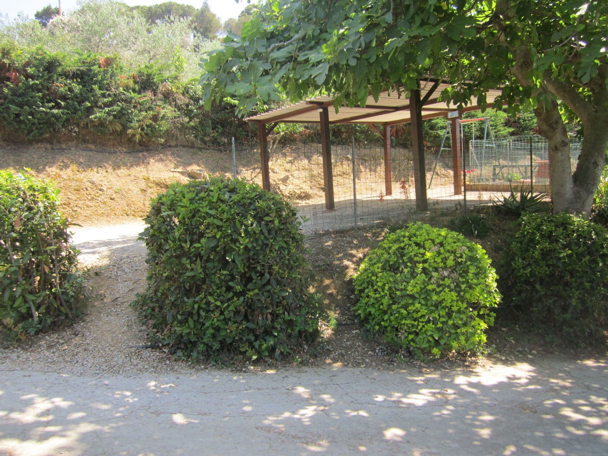Gallery Image 15