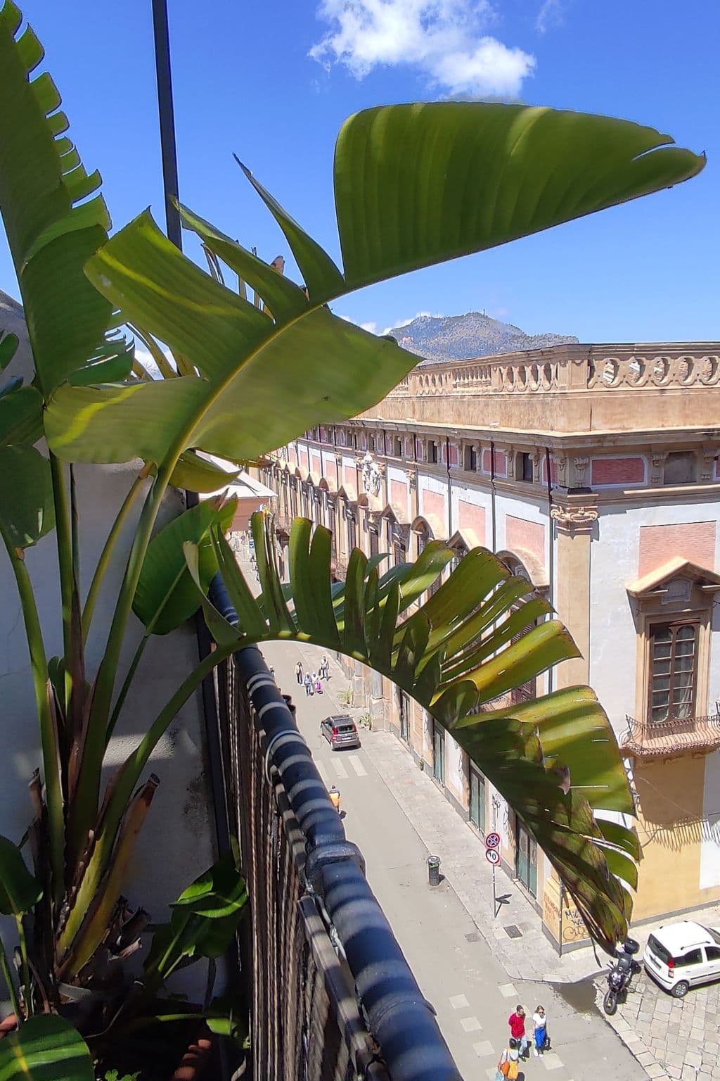 Terrace