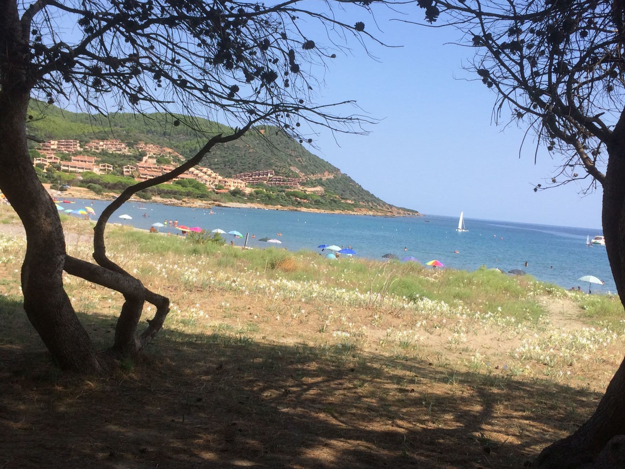 Place