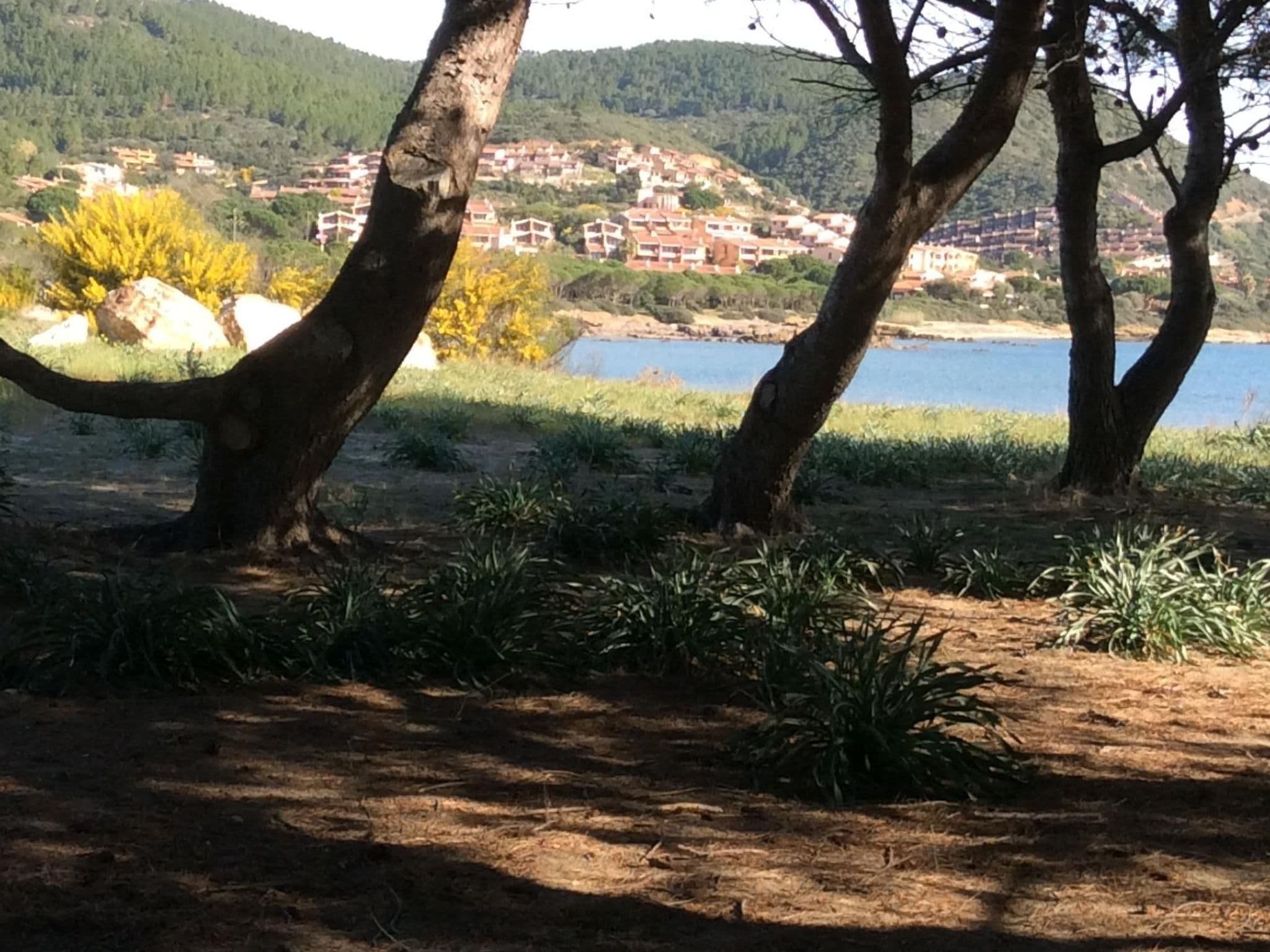 View