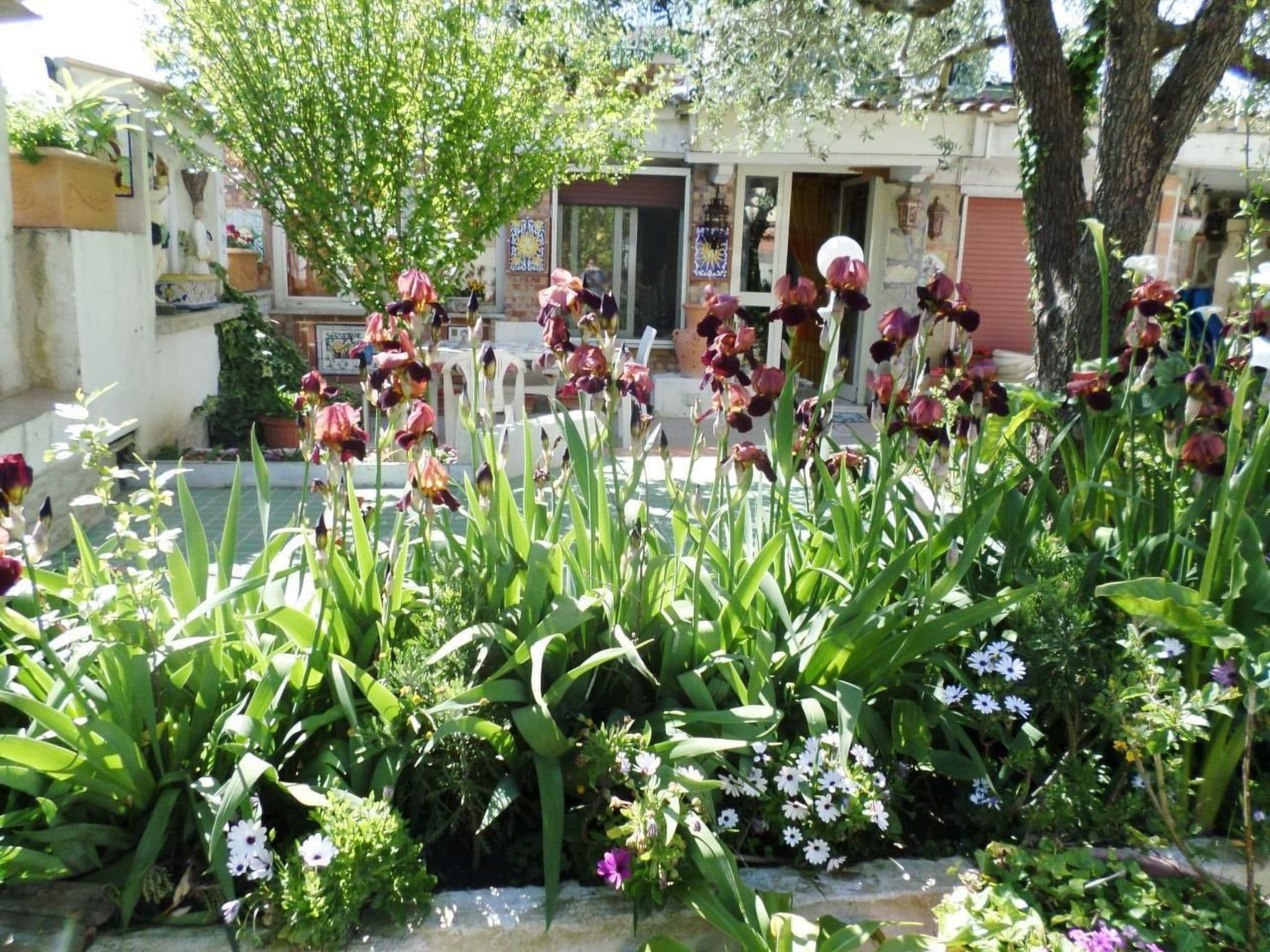 Gallery Image 33