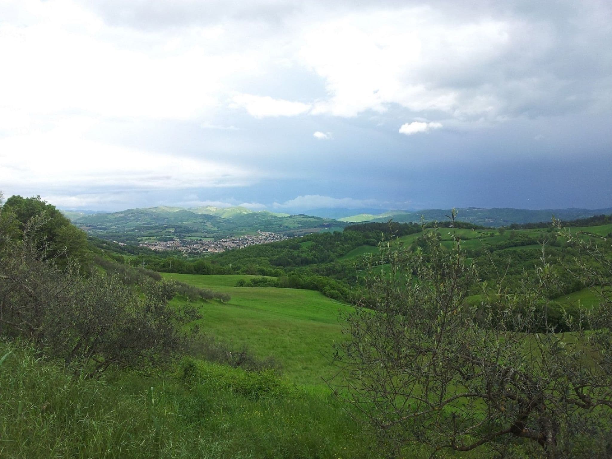View