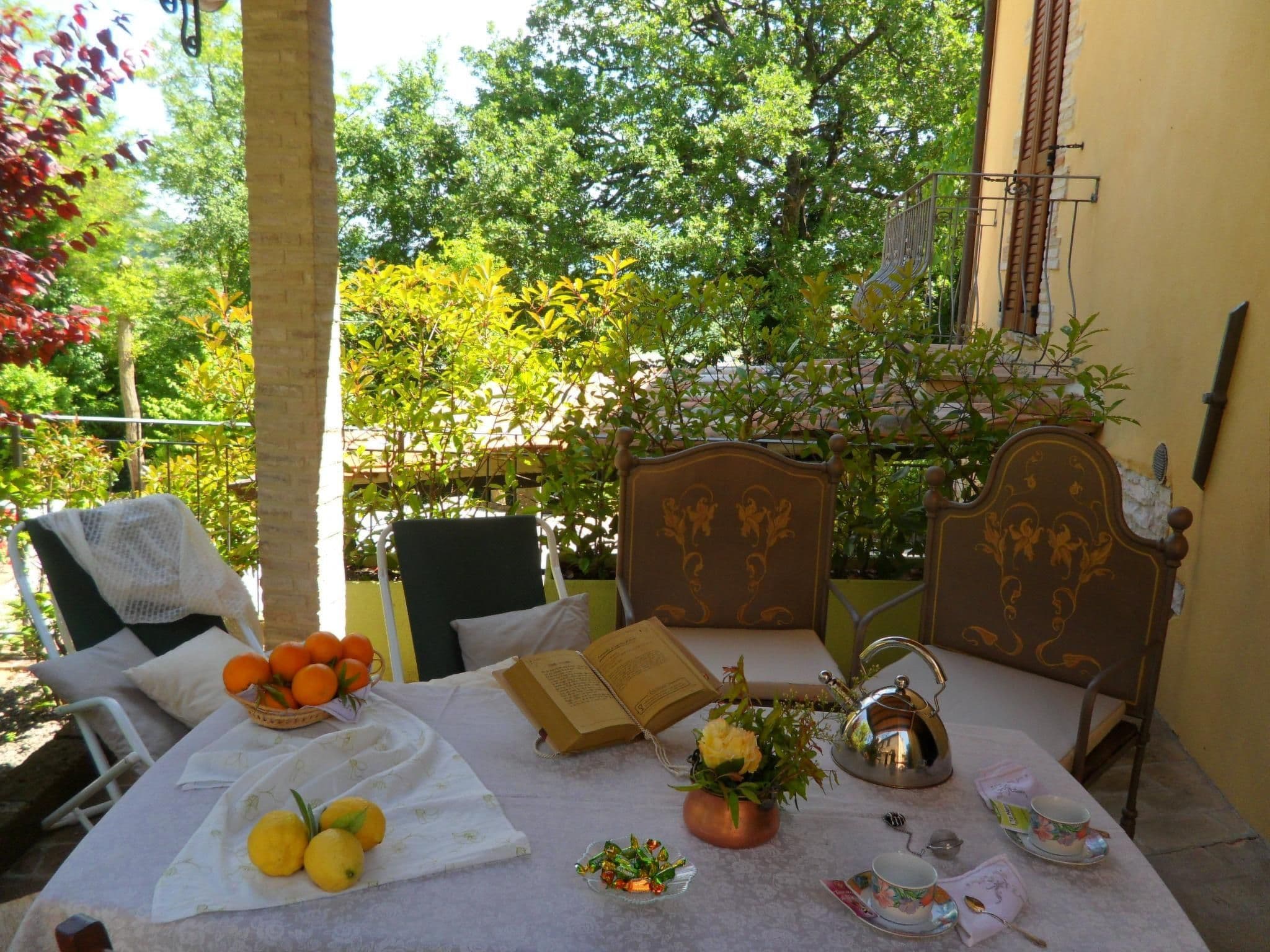 Terrace