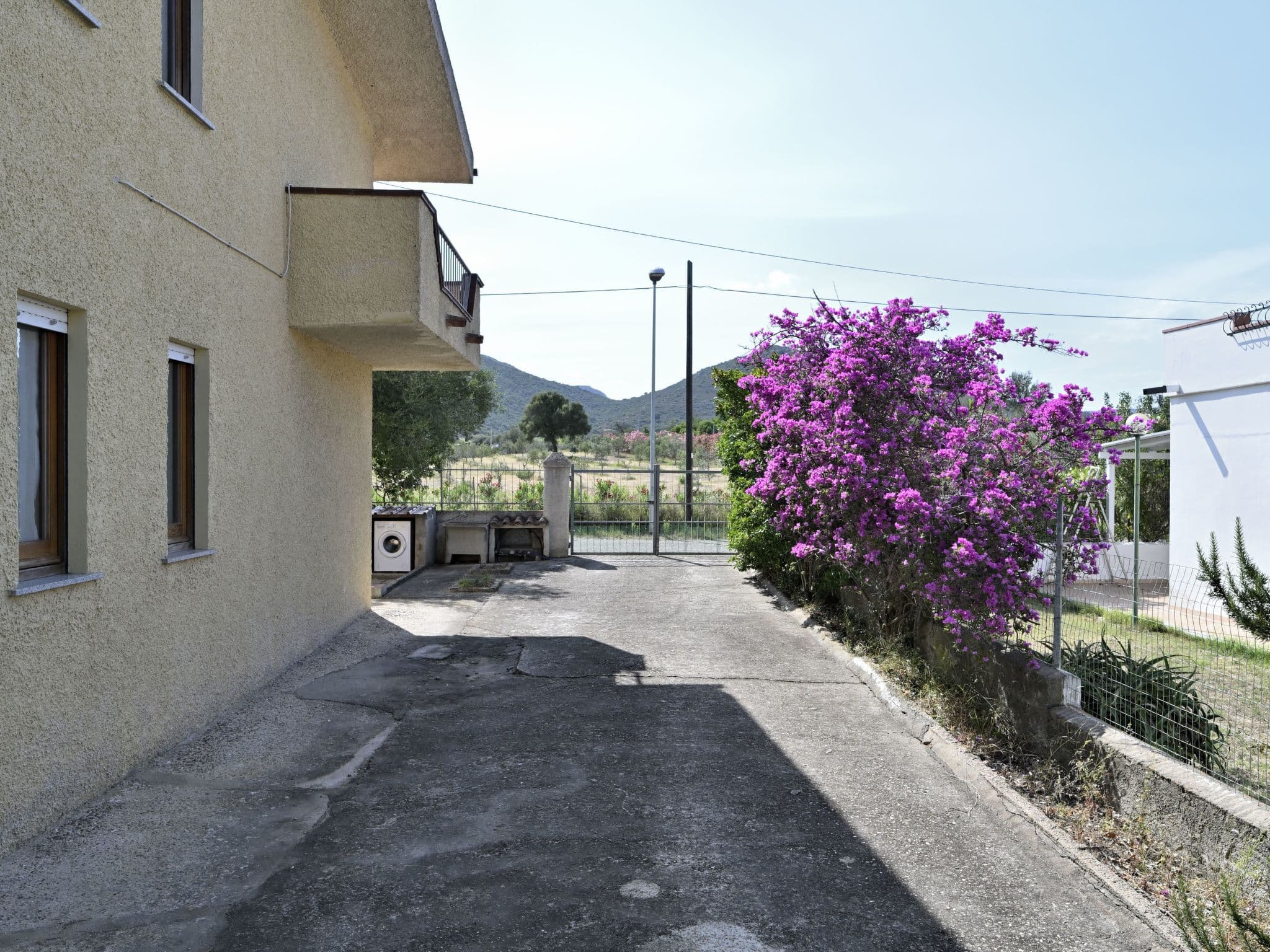 Gallery Image 29