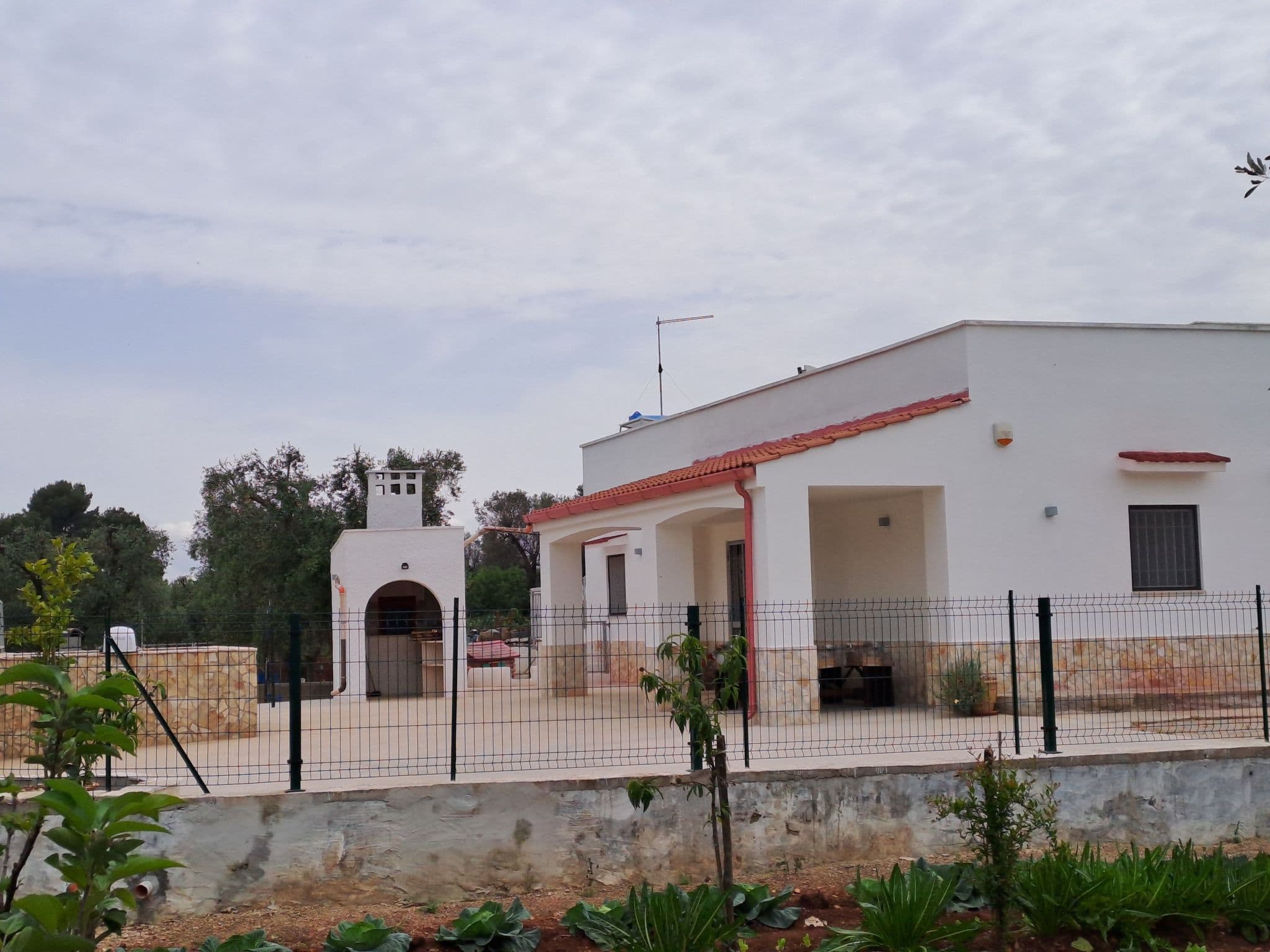 Gallery Image 28