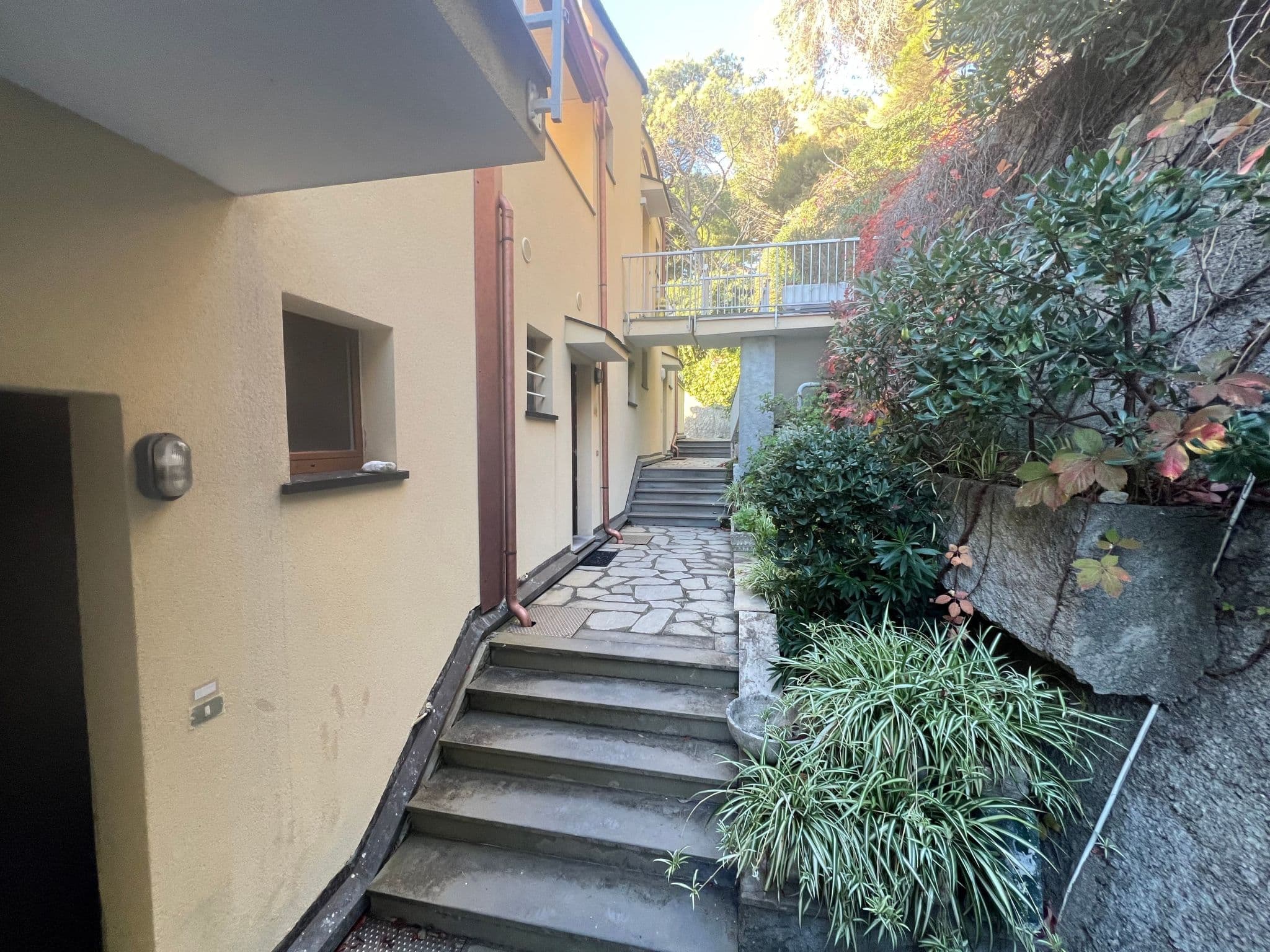 Gallery Image 24