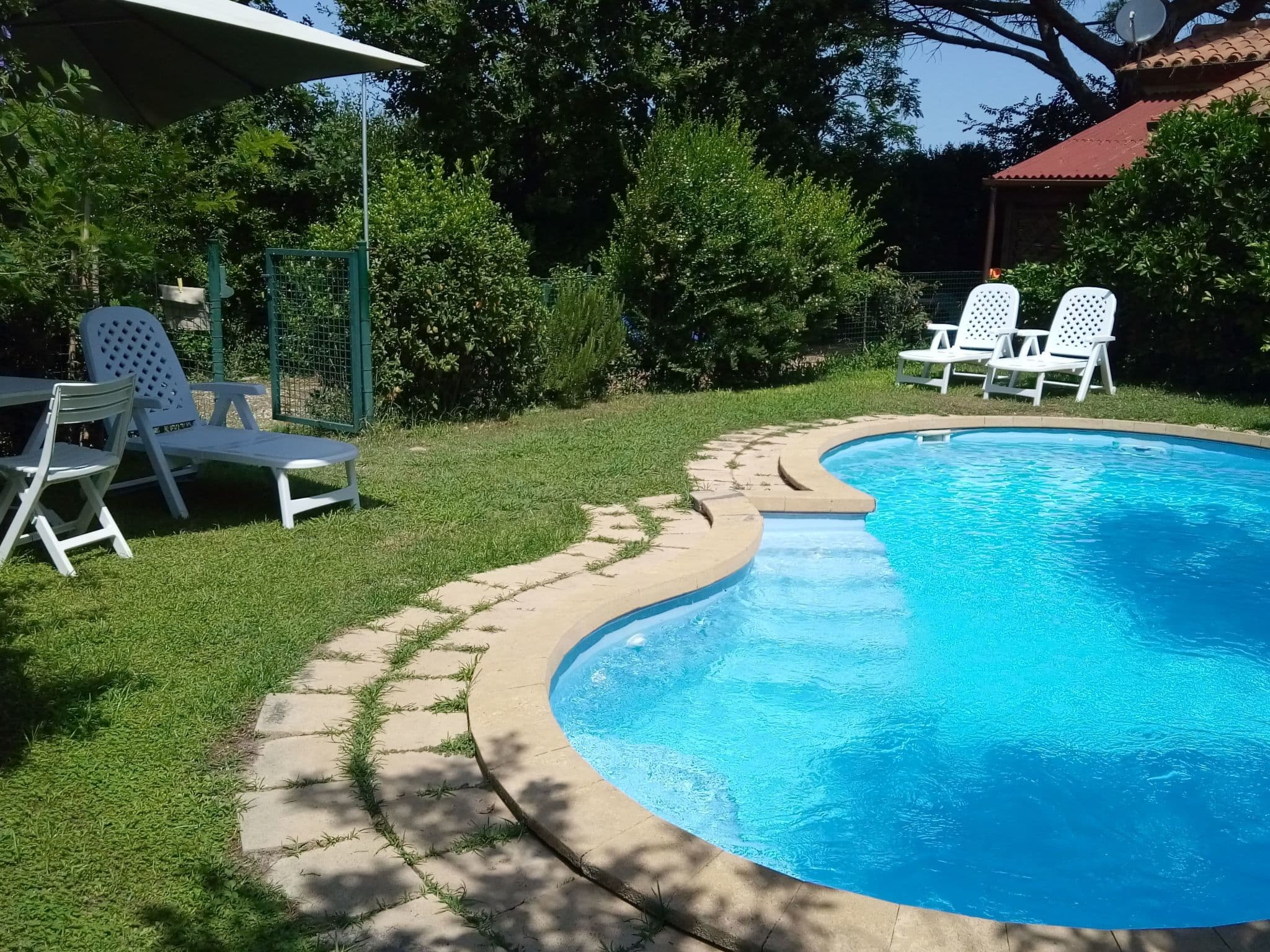 Pool Outdoor