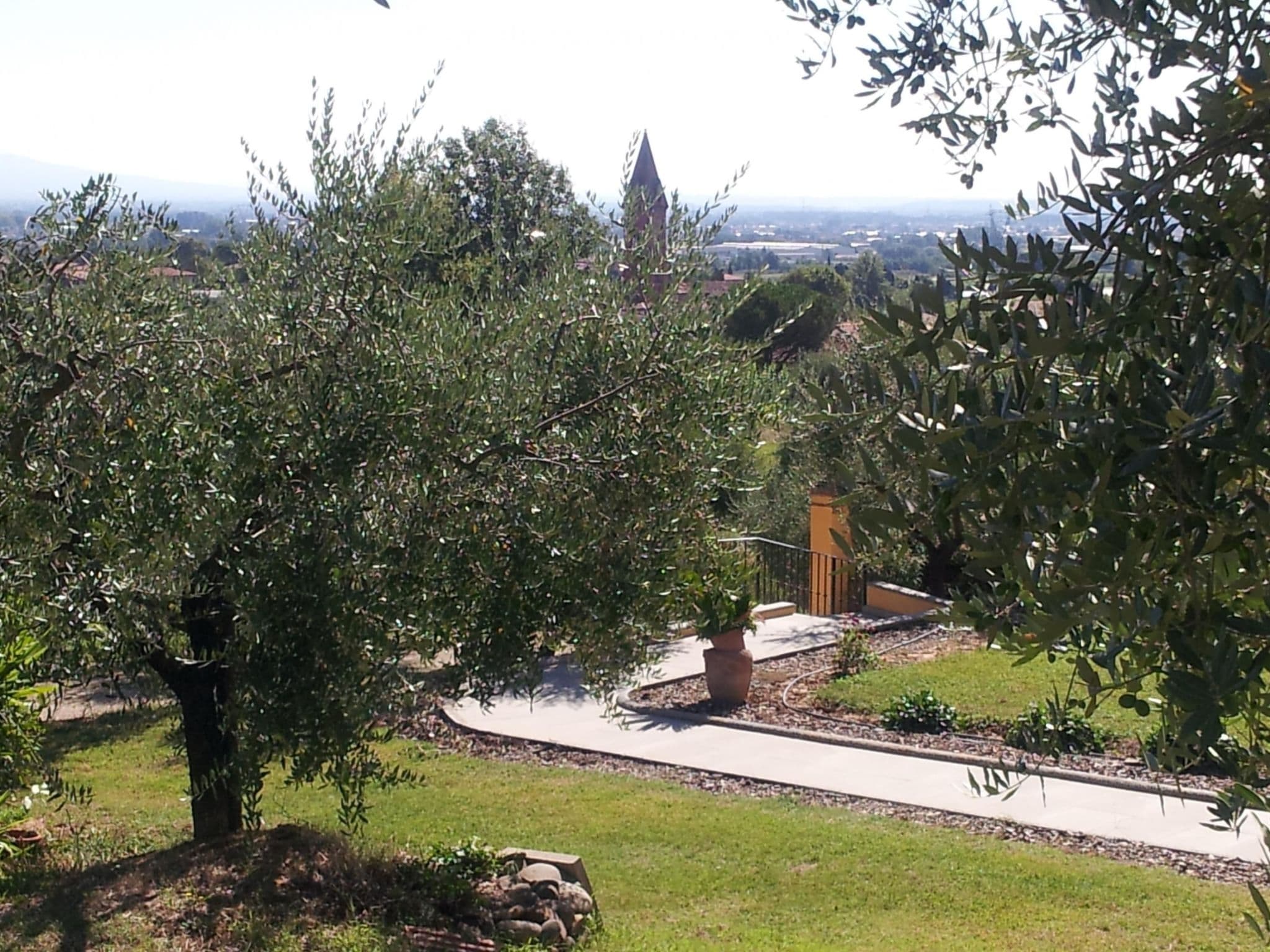 Gallery Image 8