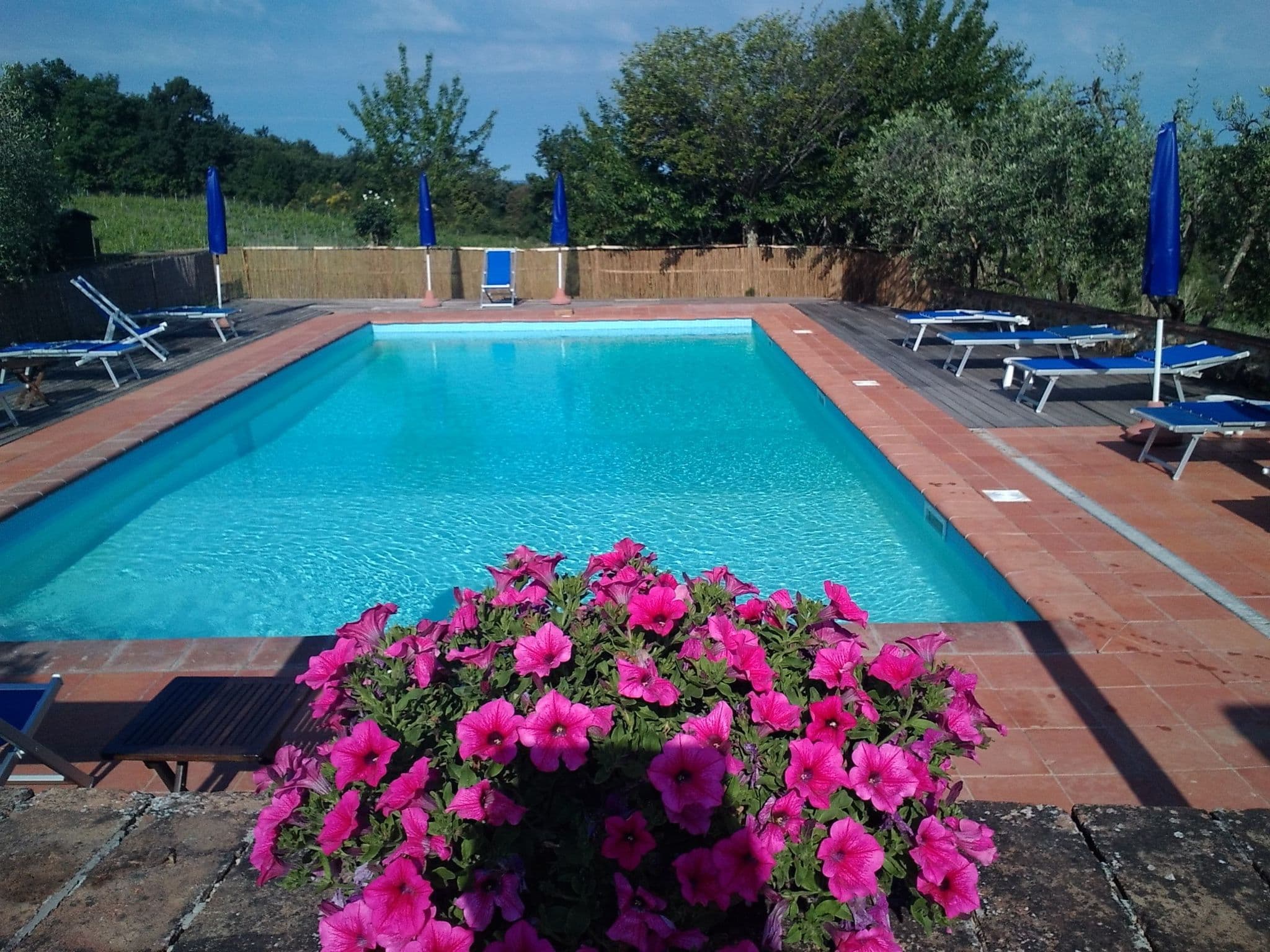 Pool Outdoor