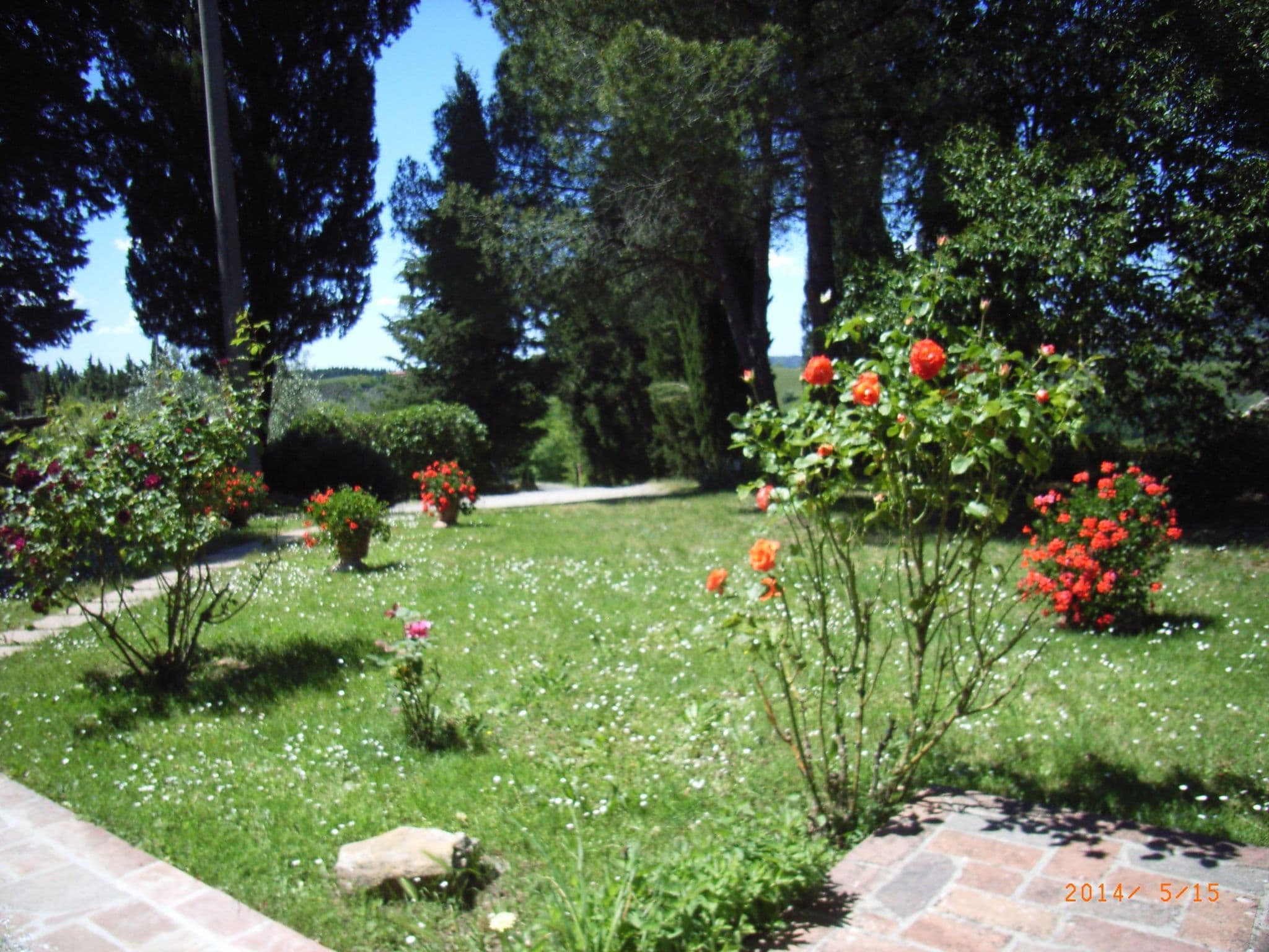 Gallery Image 12